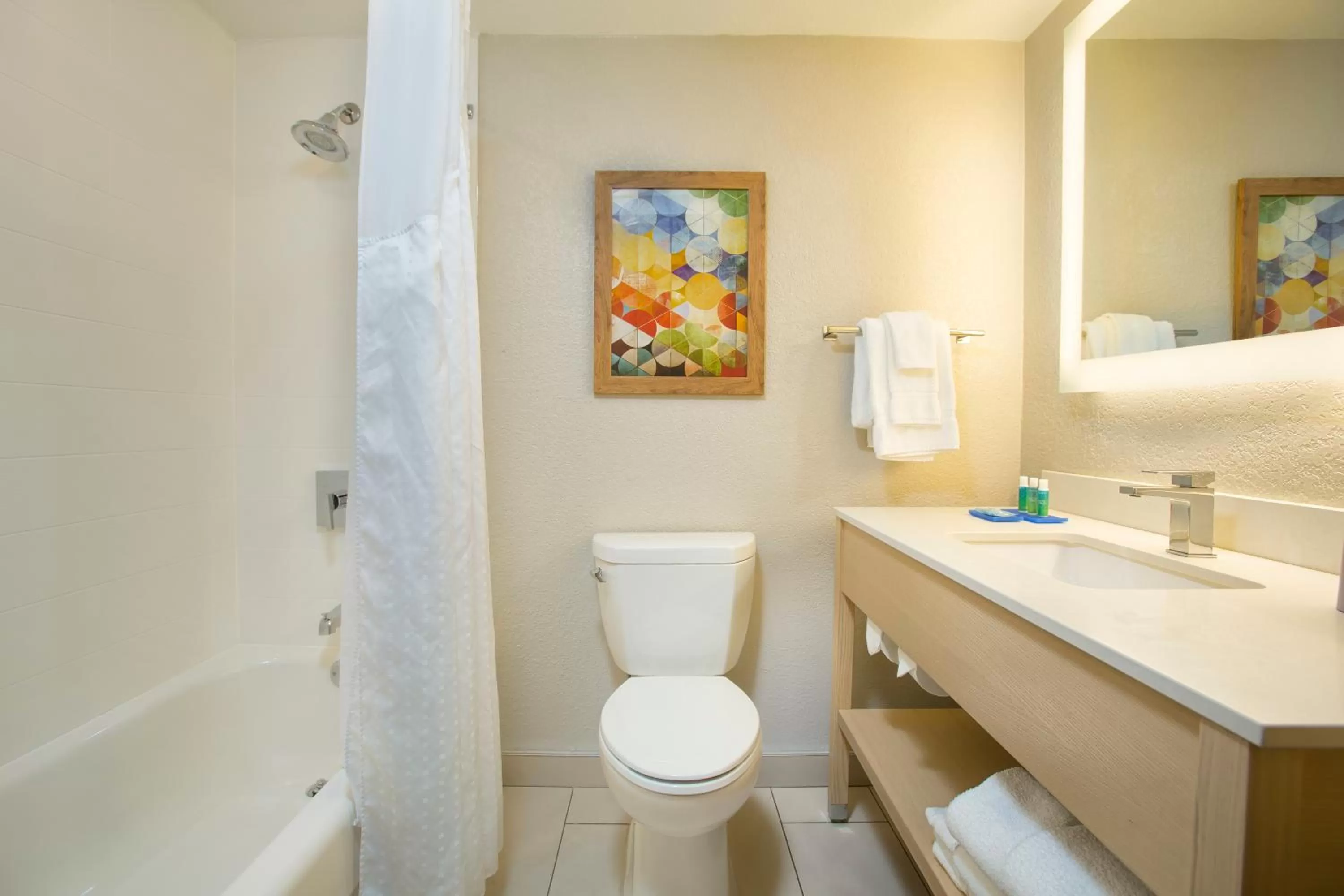 Twin Room - Mobility Access in Holiday Inn Express & Suites S Lake Buena Vista by IHG