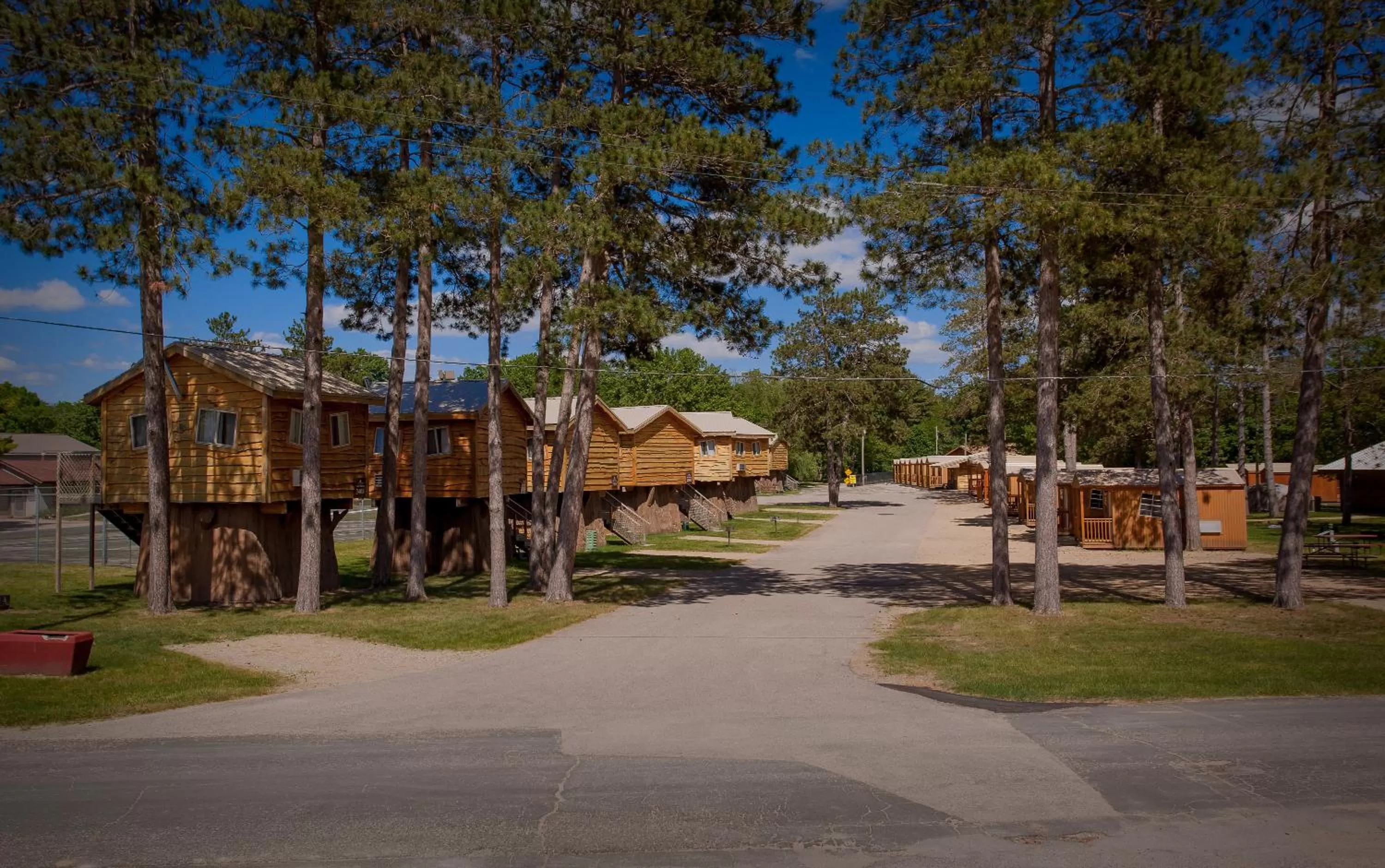 View (from property/room), Property Building in Natura Treescape Resort