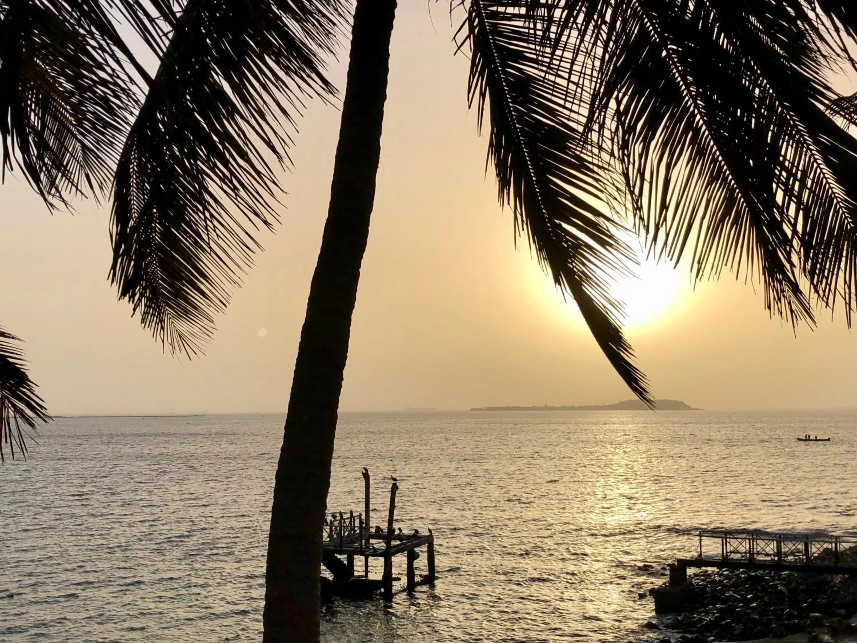 Natural landscape in Hotel Jardin Savana Dakar