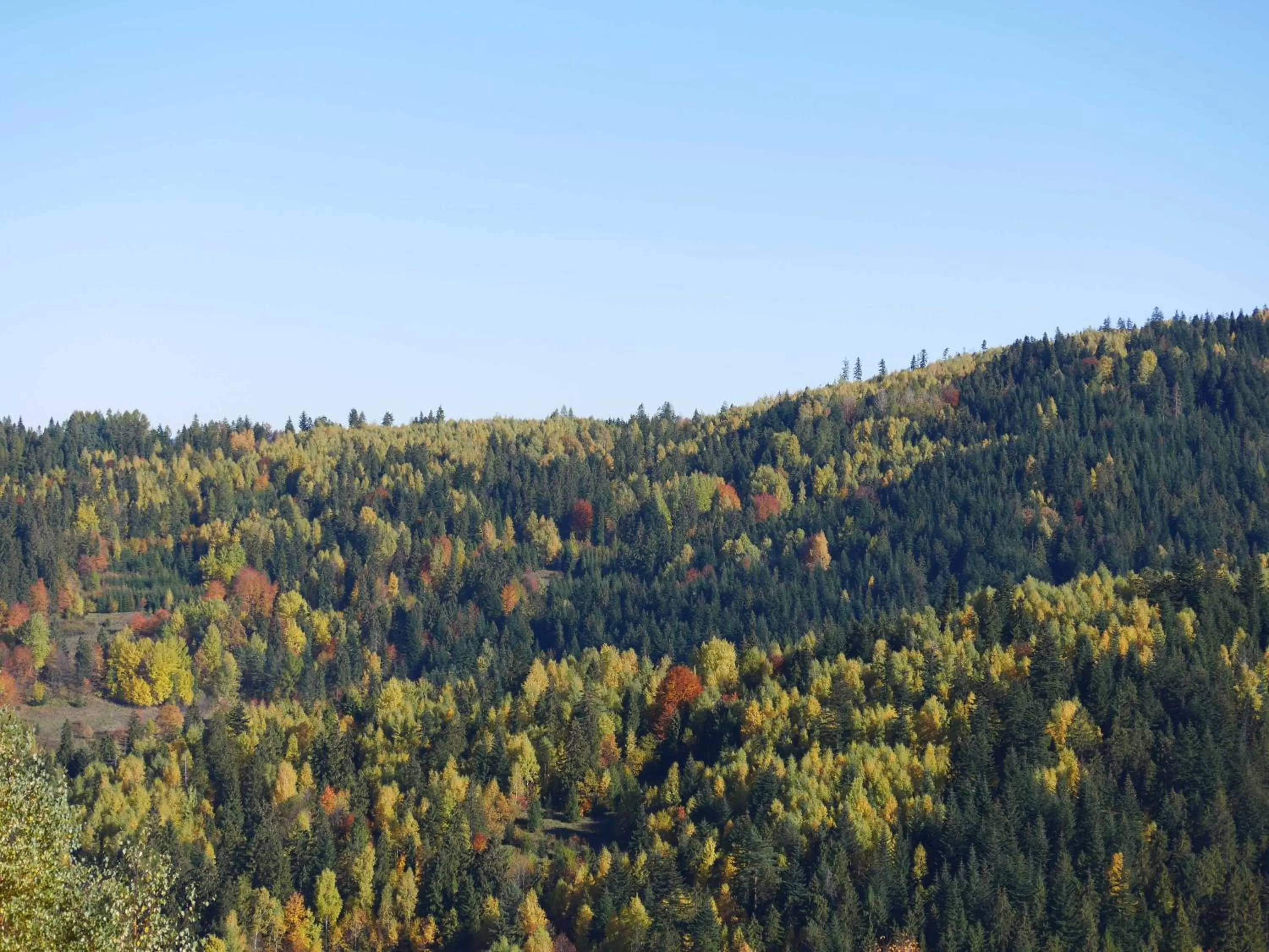 Autumn in Hotel Żywiecki Medical SPA & Sport Żywiec