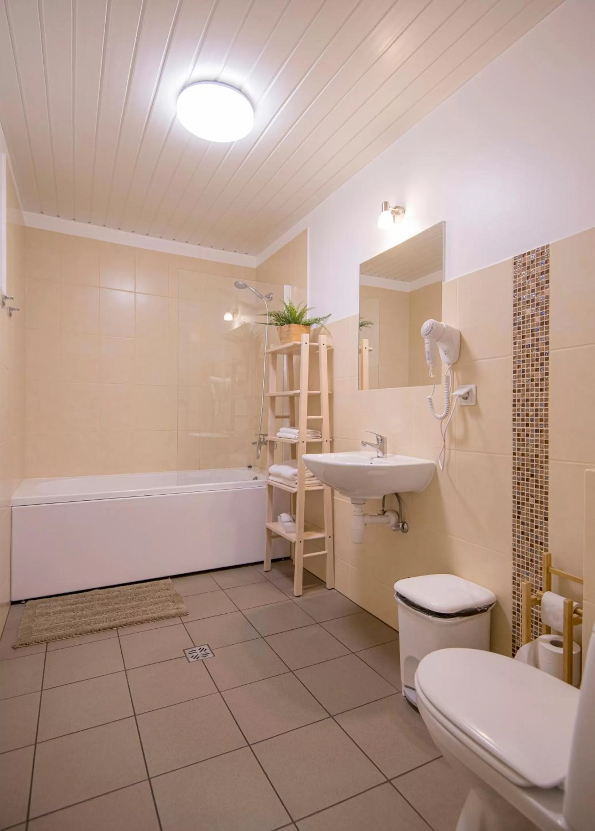 Bathroom in Hotel Mezaparks