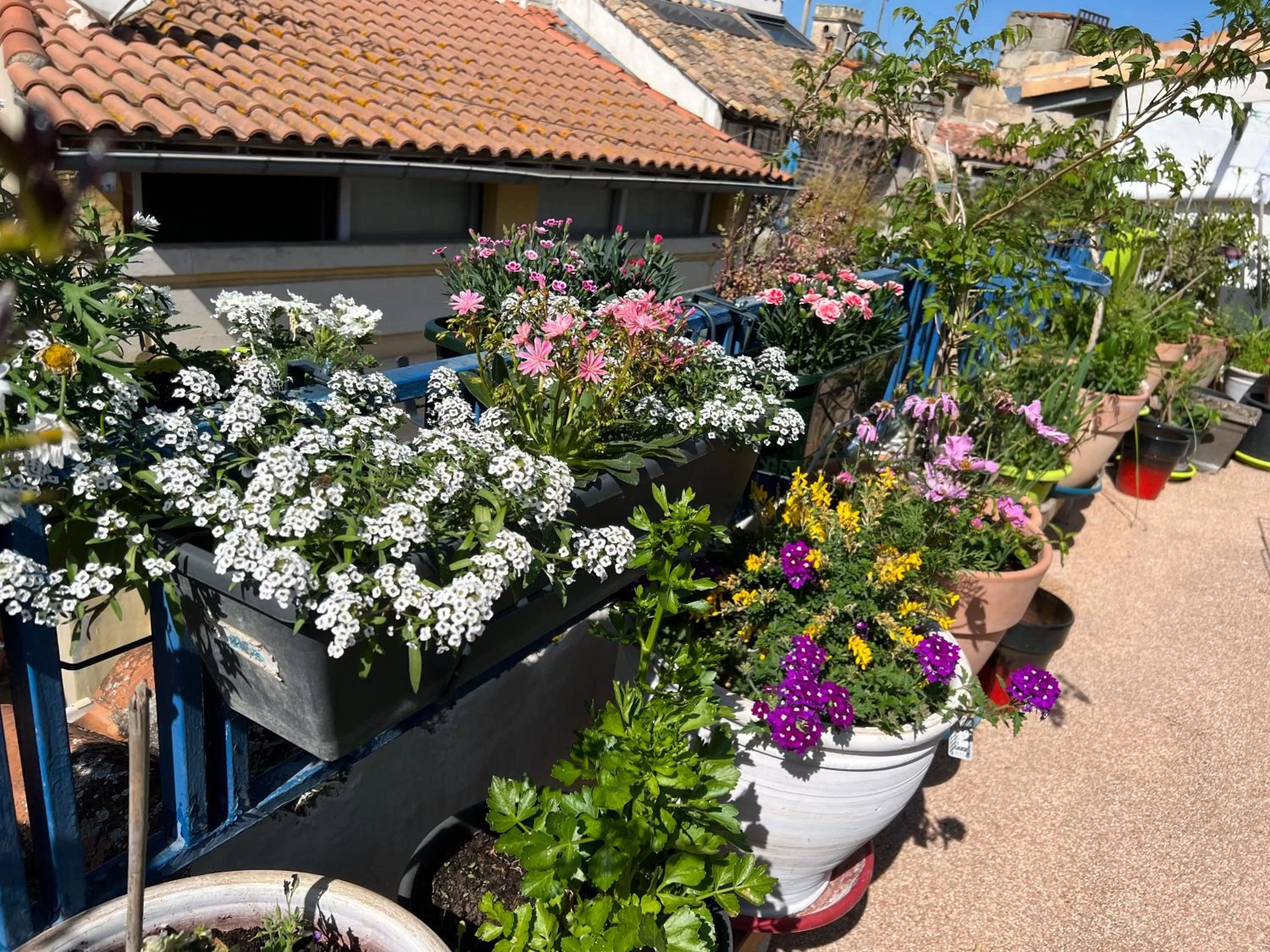 Patio in Loft Apartment , La Terrasse Centre Ville d'Arles,