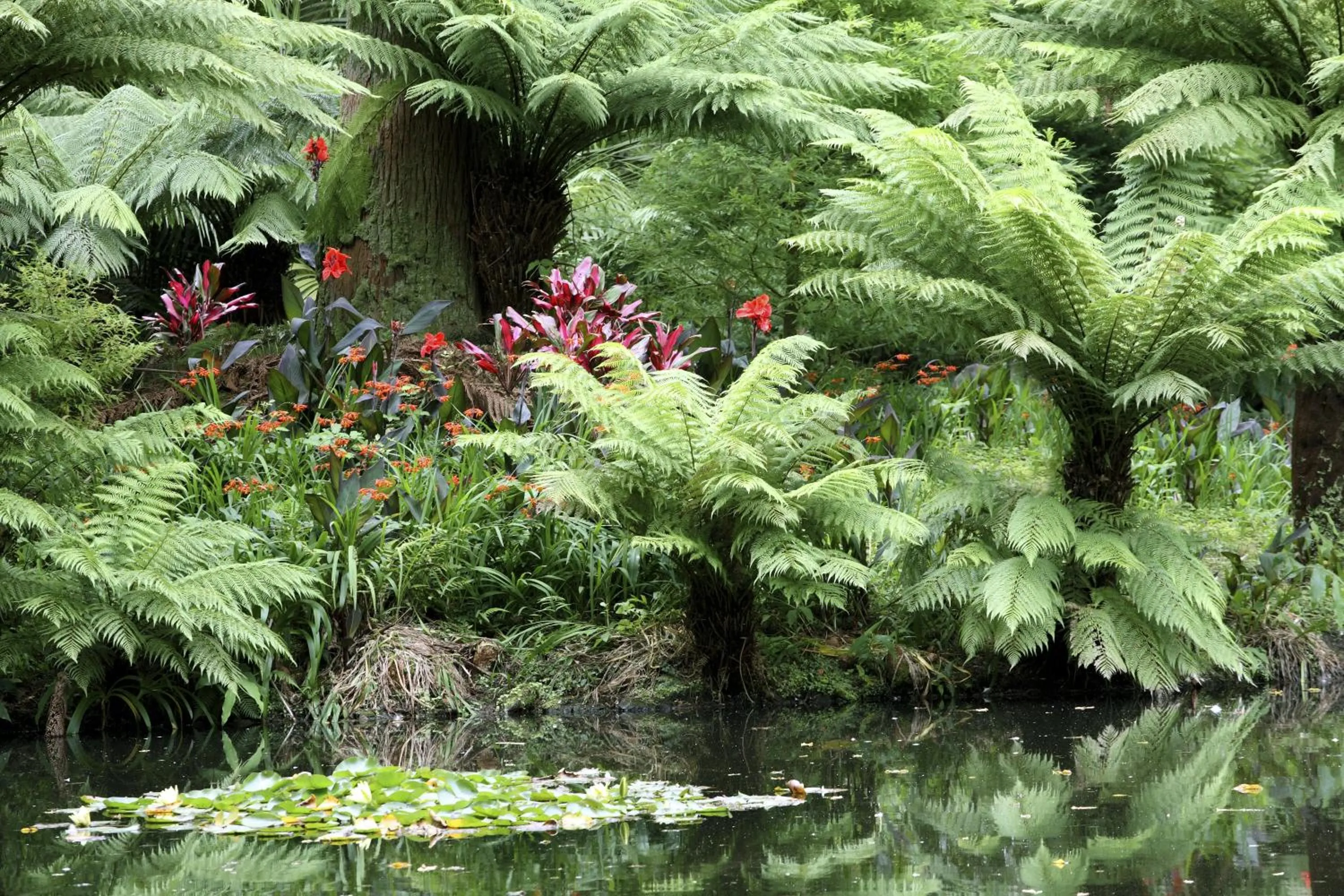 Natural landscape, Garden in Furnas Boutique Hotel - Thermal & Spa