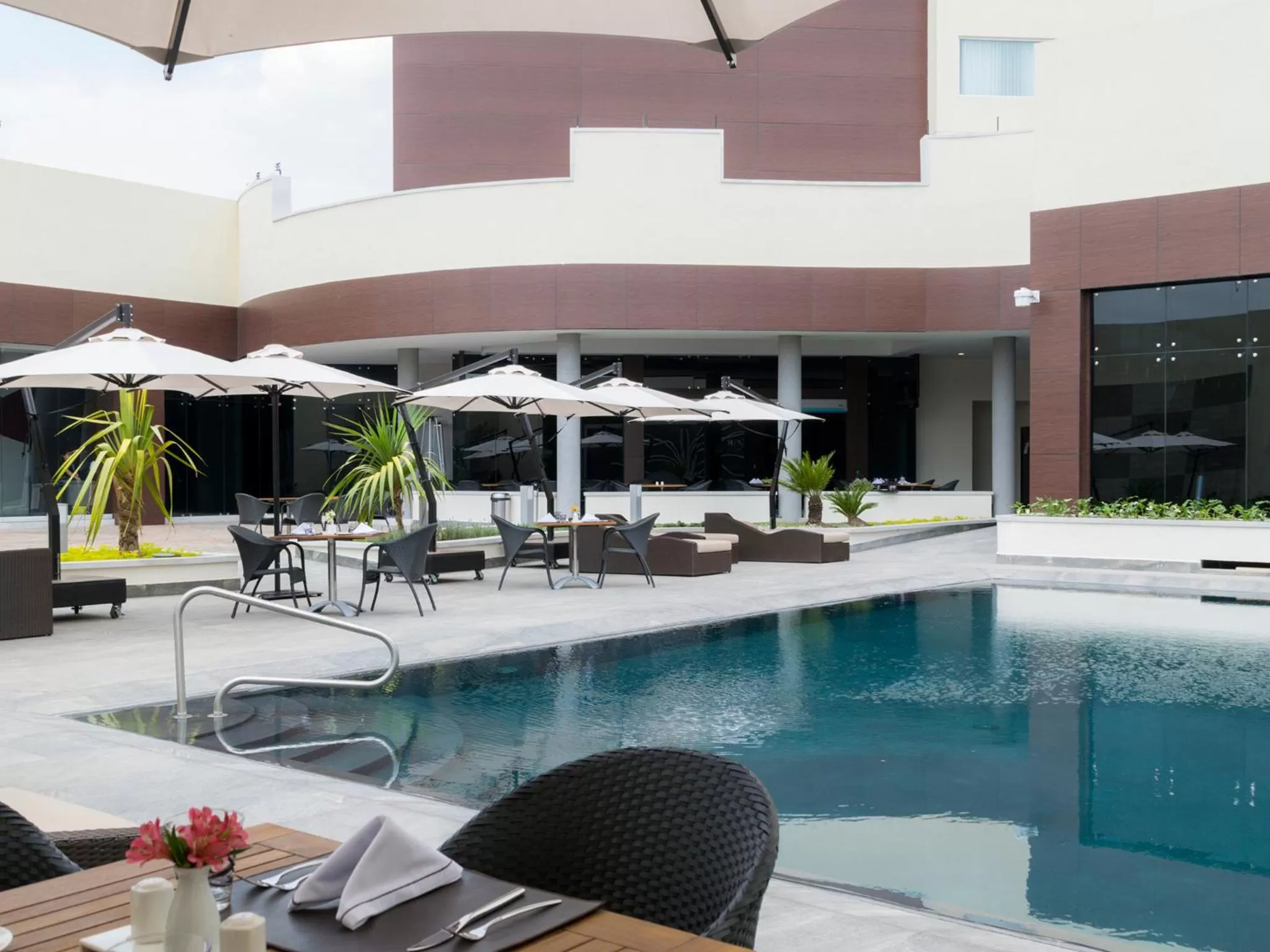 Swimming pool in HS HOTSSON Hotel Irapuato