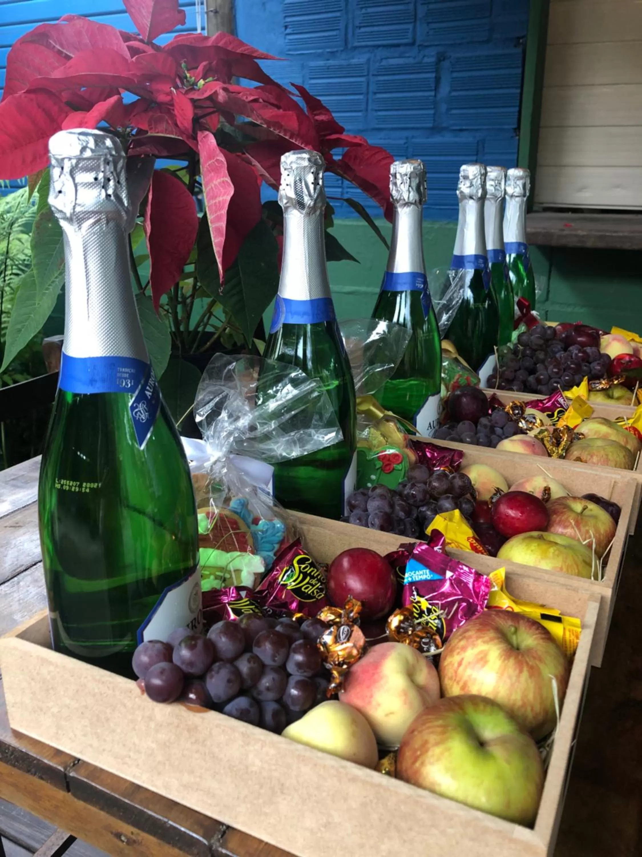 Mandala Camping Pousada