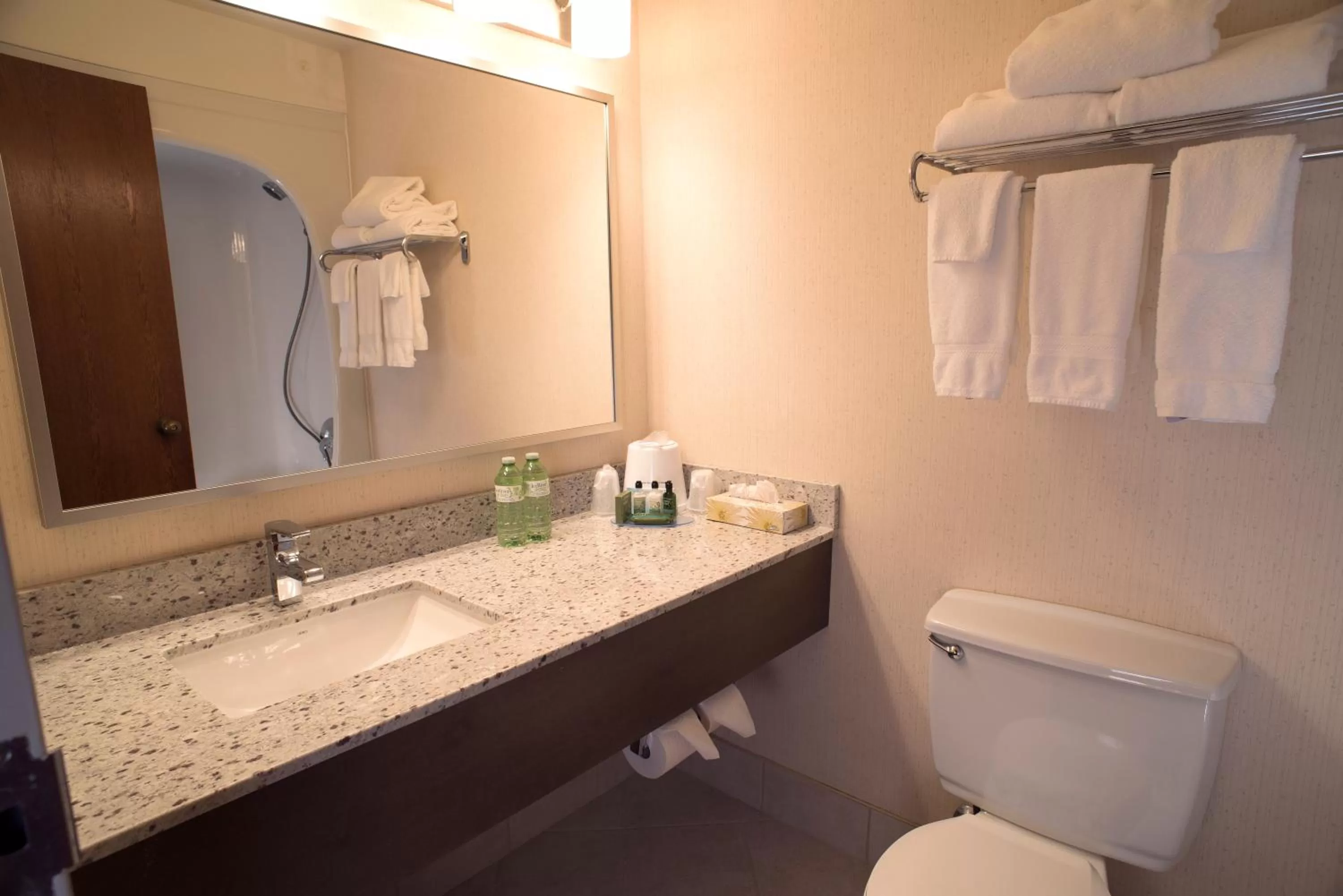 Bathroom in Valhalla Hotel & Conference Centre