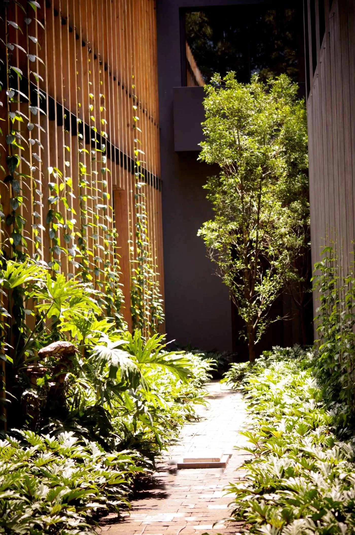 Garden view in Cinco Rodavento