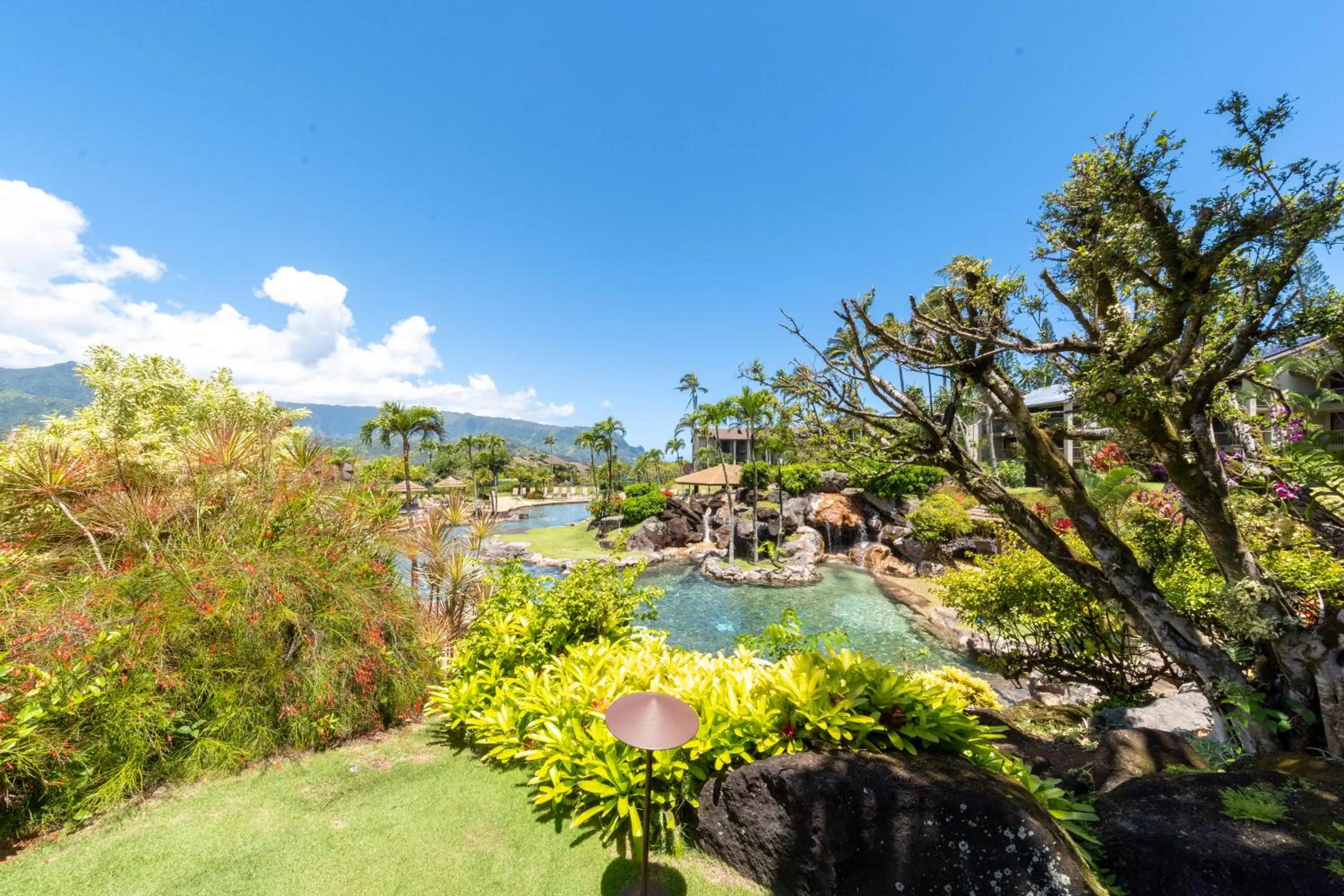 Swimming pool in Hanalei Bay Resort
