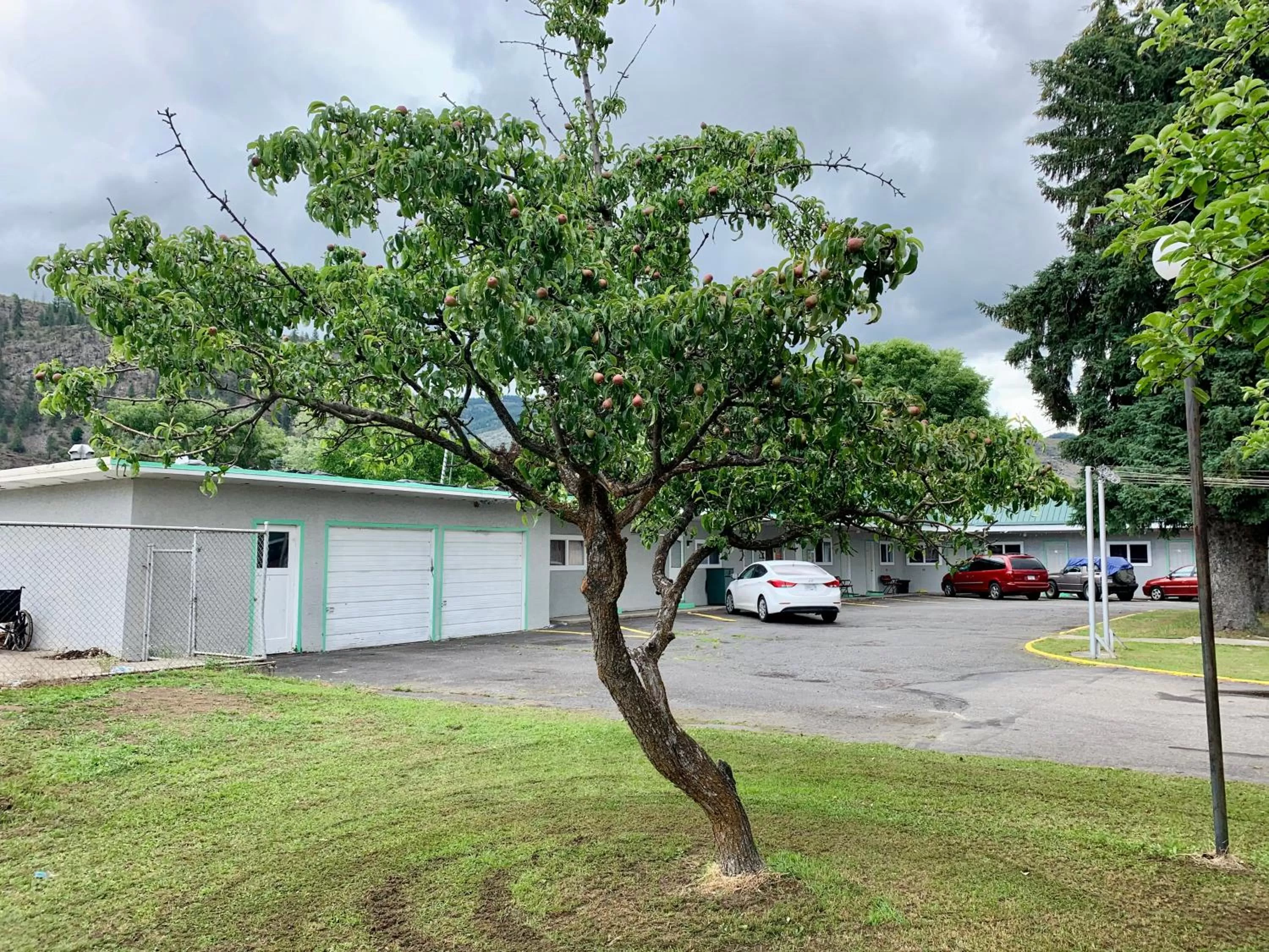 Garden in Night Inn Grand Forks