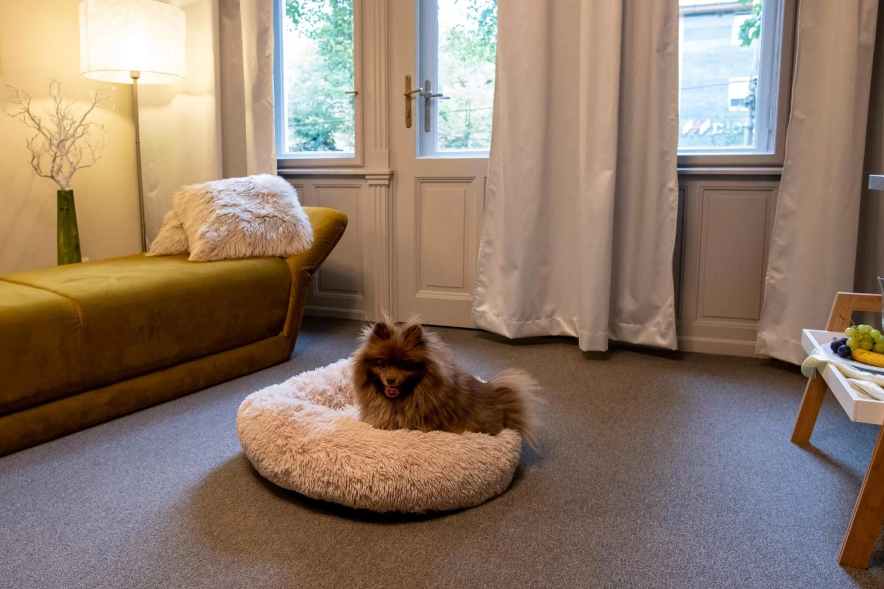 Living room in Hotel Piano