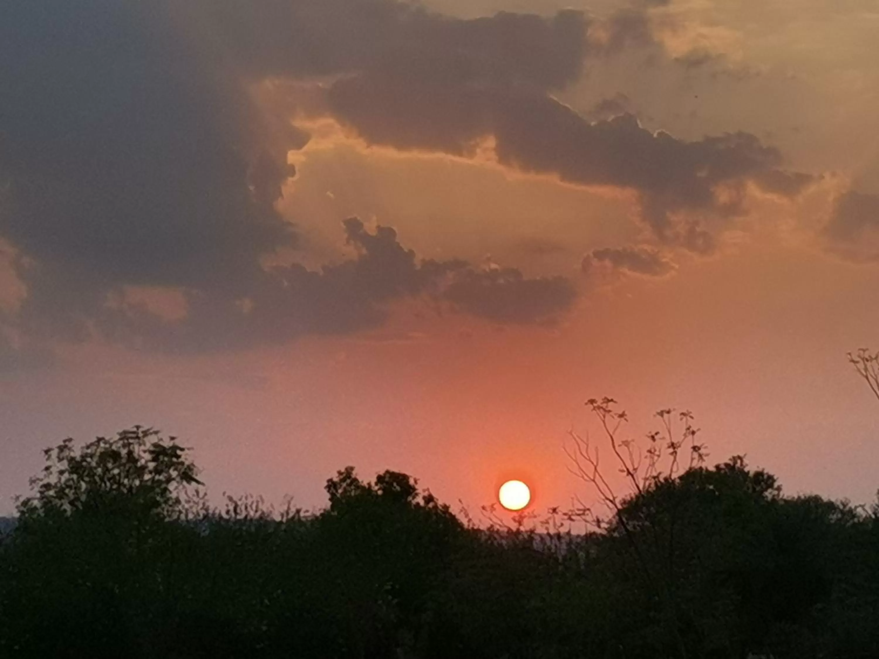 Sunset in Astroport Sariska Treetop by Eight Continents