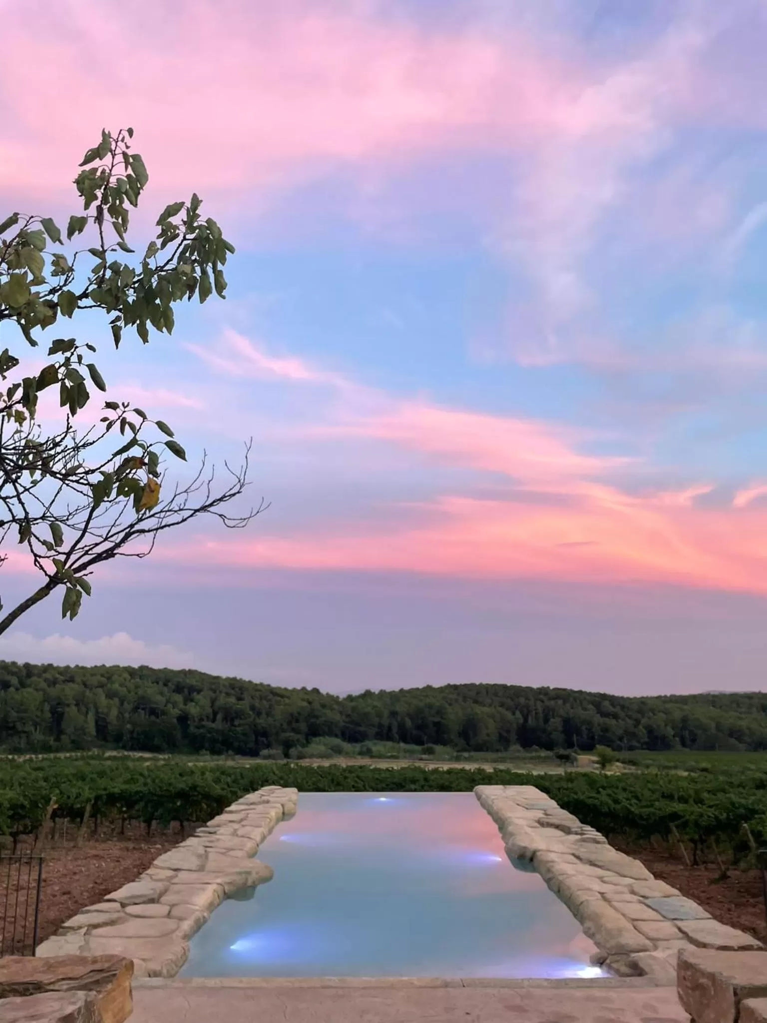 Hotel Montrubí 1771 - Slow Winery Hotel - Adults only