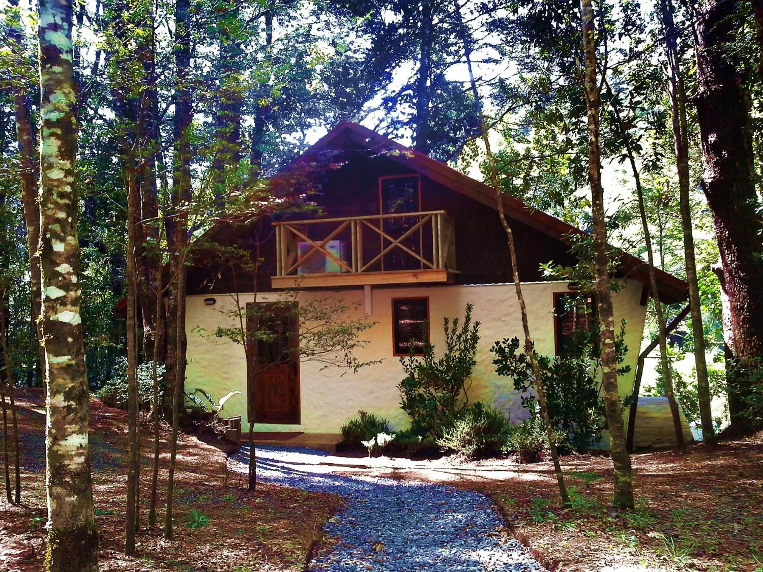 Photo of the whole room, Property Building in Hotel Salto del Carileufu