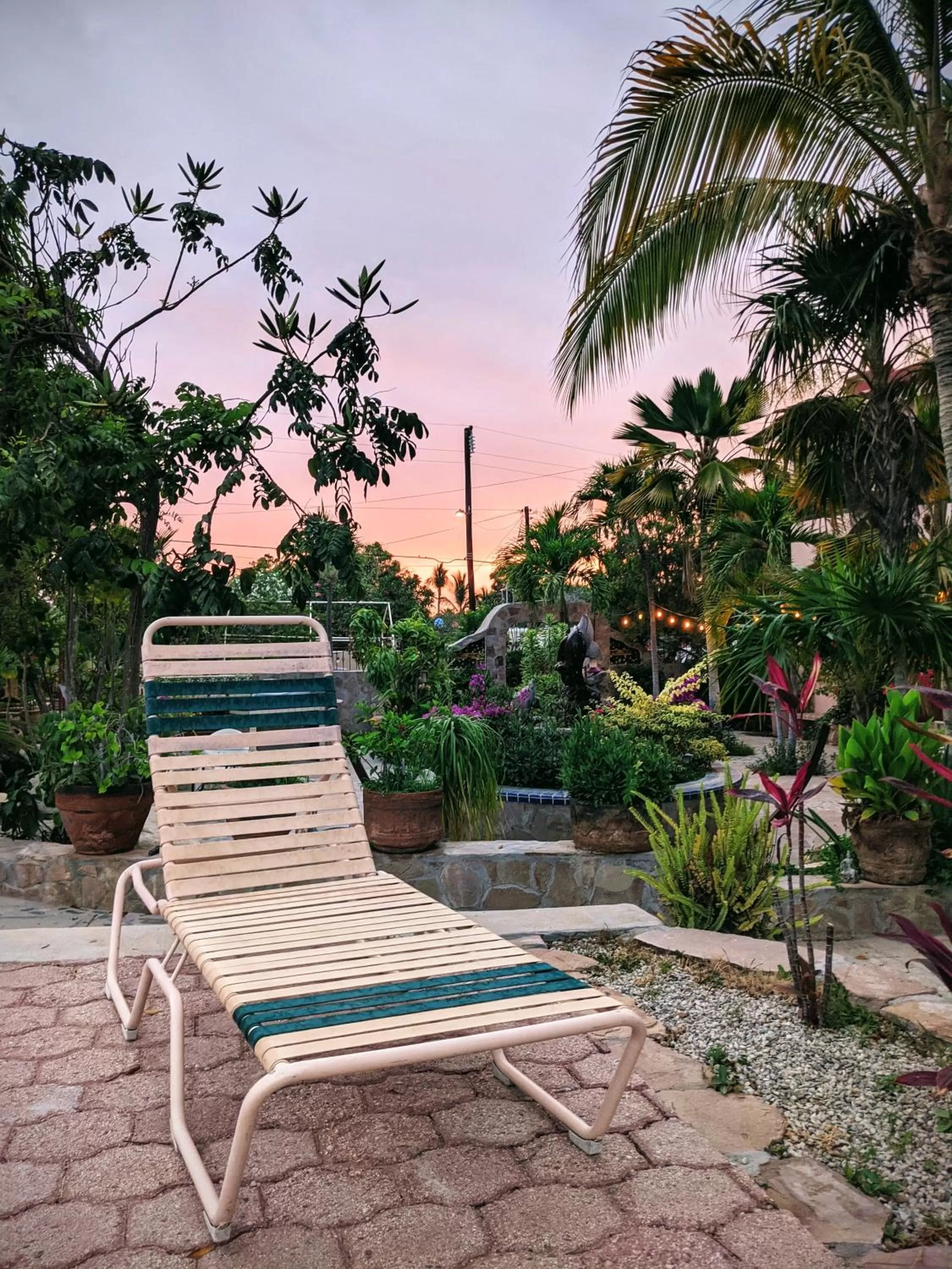 Garden view in Hacienda De Palmas