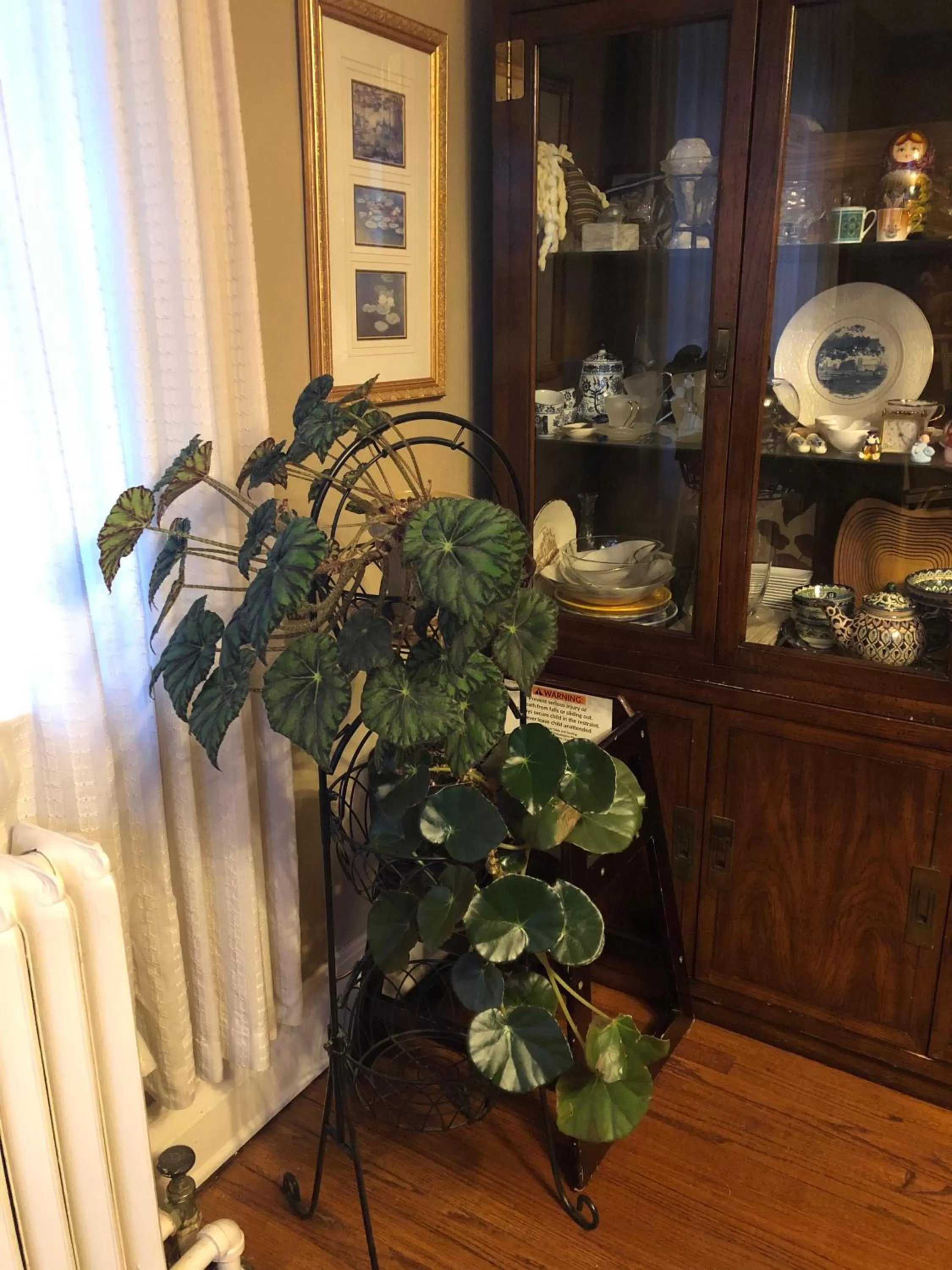 Property building in The Ambassador