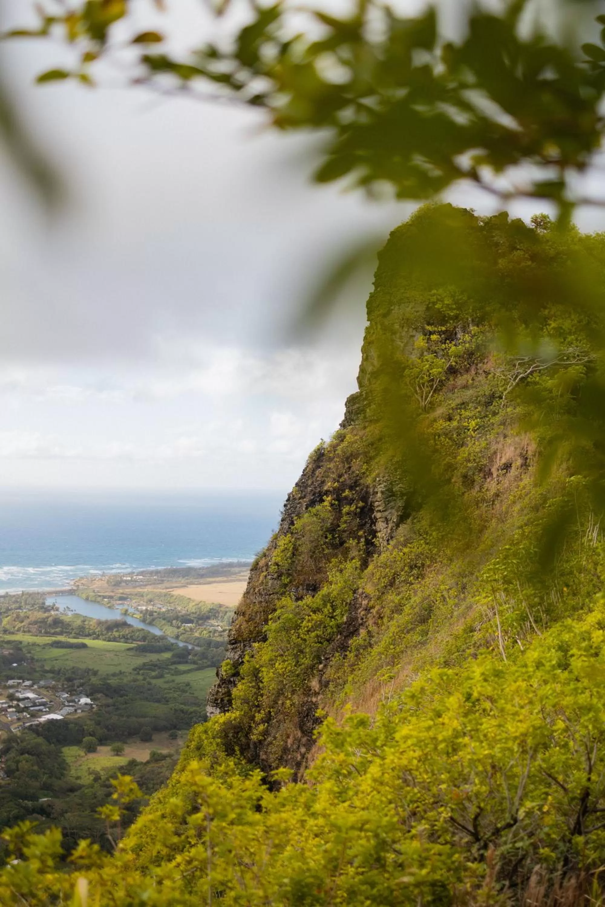 Natural landscape in Kauai Shores Hotel
