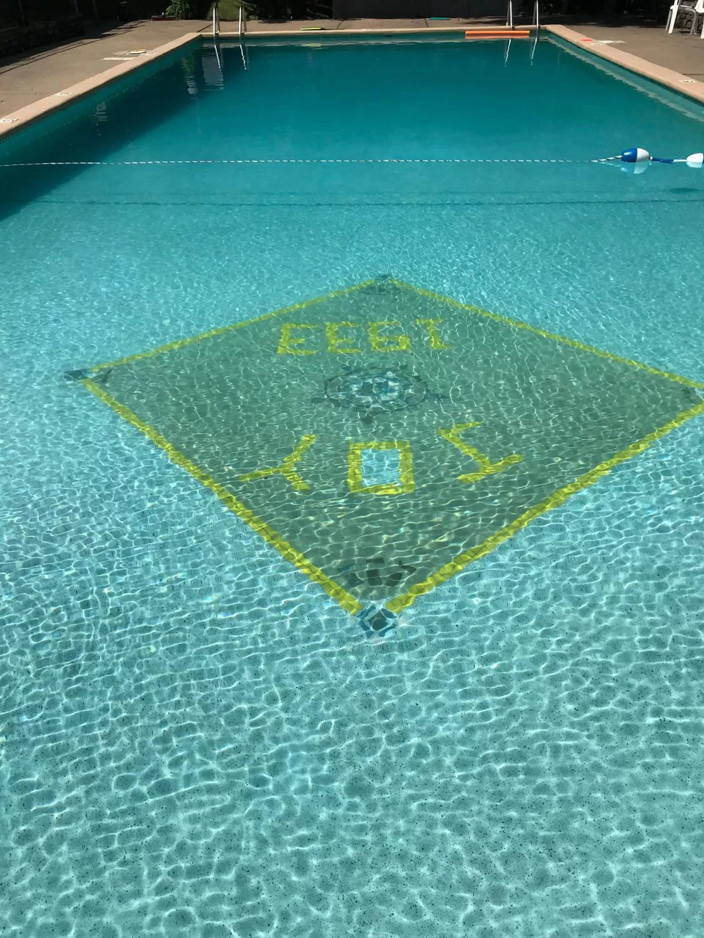 Swimming pool in The Wanderoo Lodge