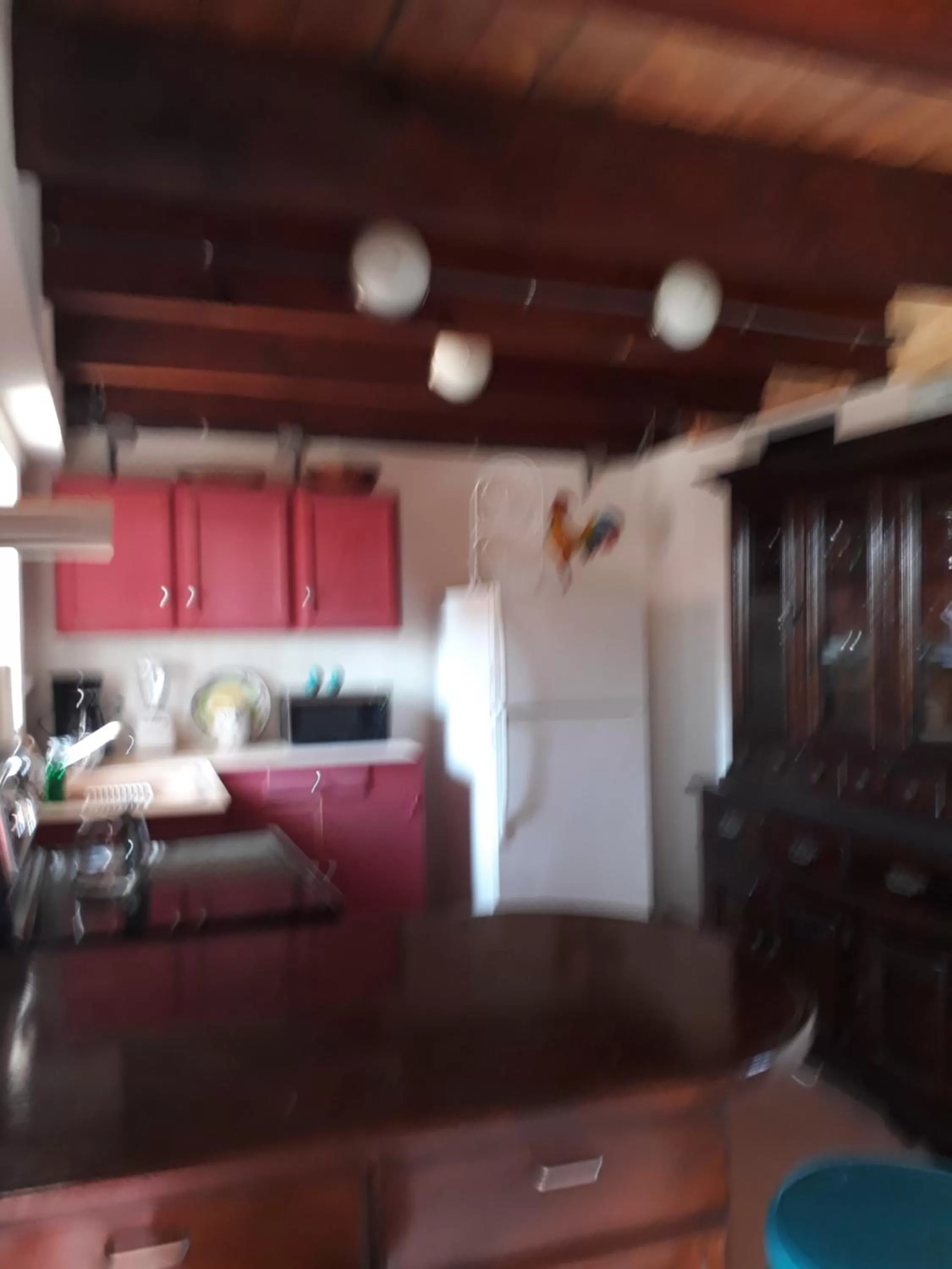 Kitchen or kitchenette in Hacienda Rancho Santini