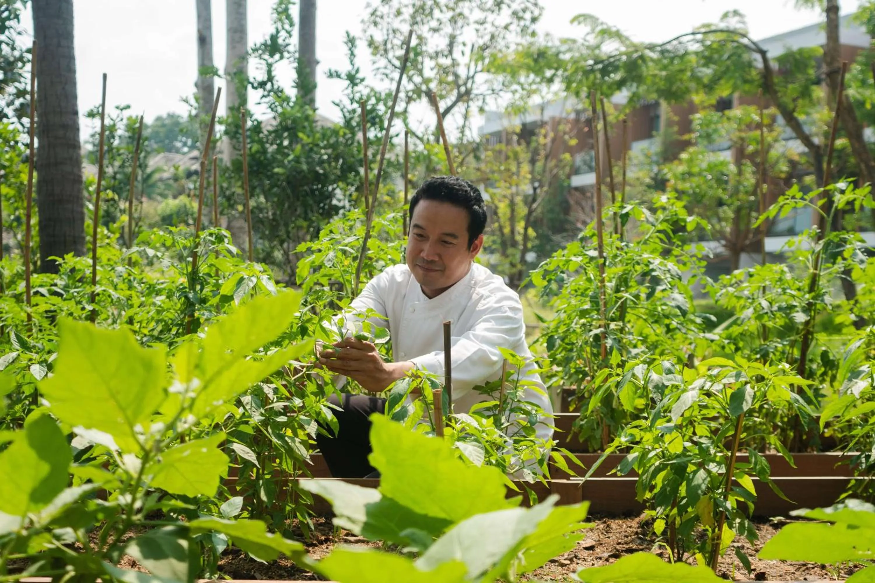 Garden in Hyatt Regency Koh Samui