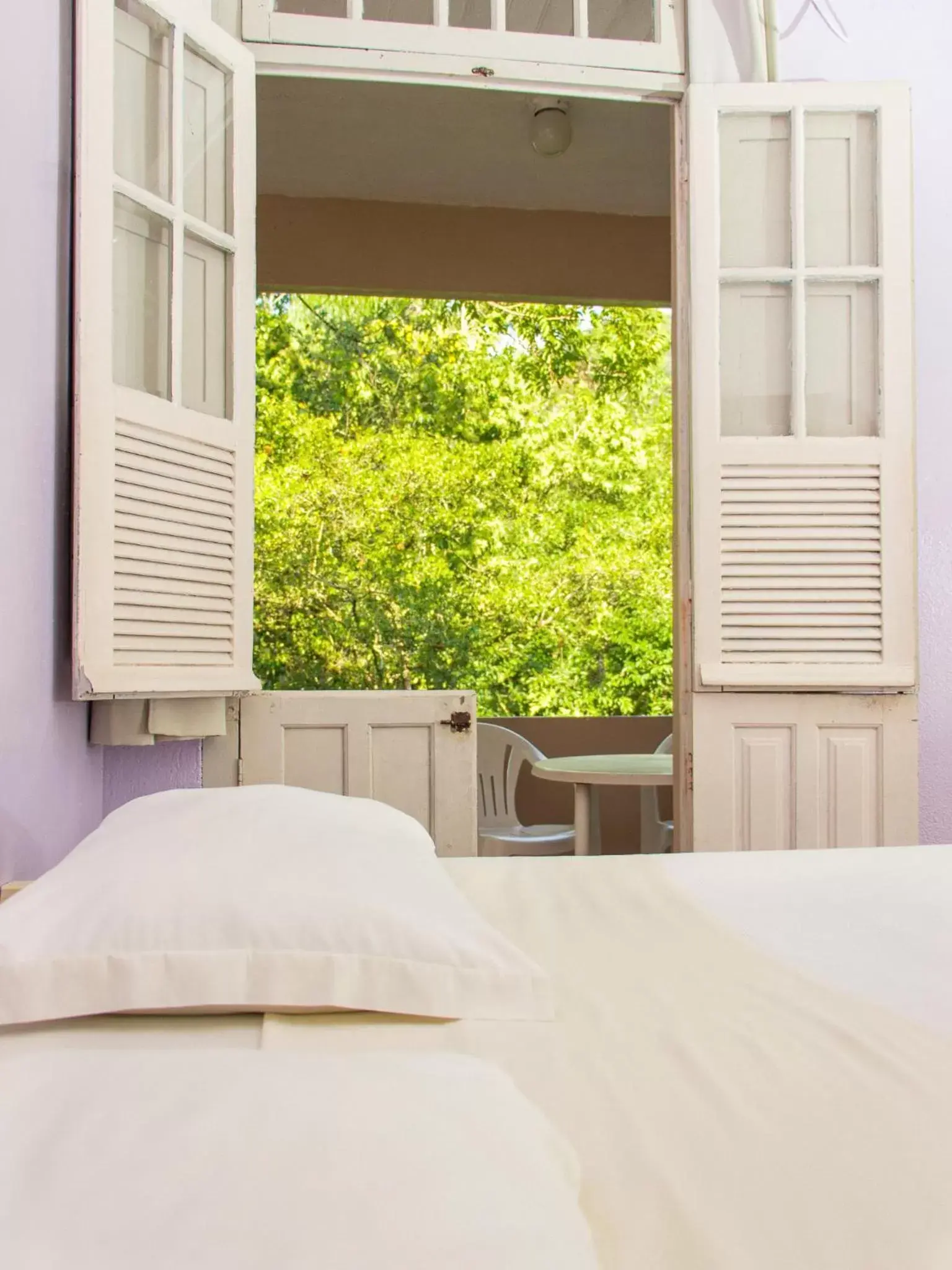 Standard Apartment - single occupancy in Hotel Caldas da Imperatriz Standard Apartment - single occupancy in Hotel Caldas da Imperatriz