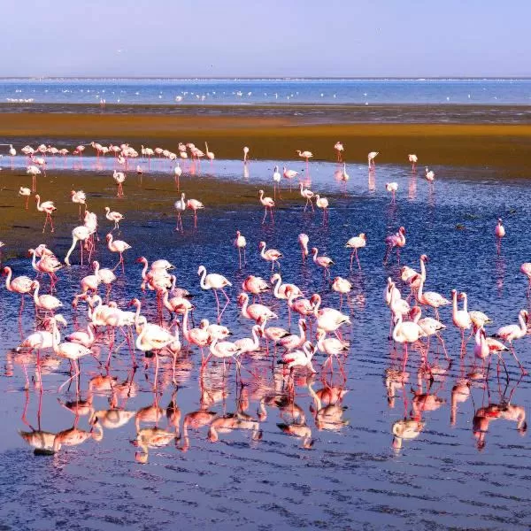 Hiking in Sunflower Self-Catering