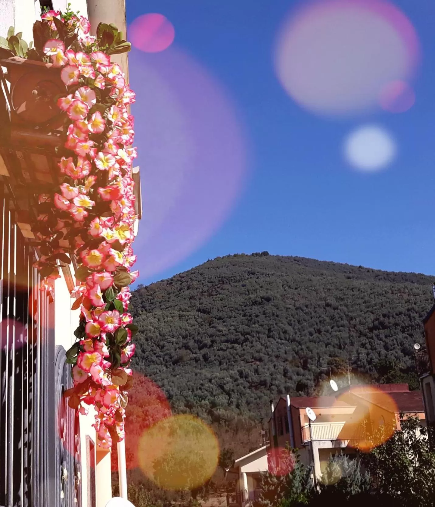 Property building in B&B La perla dei casali