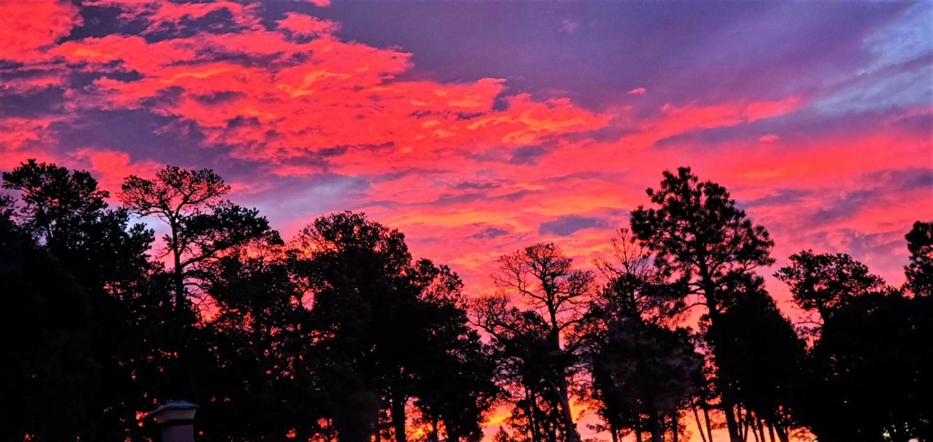 Natural landscape in High Sierra Condominiums