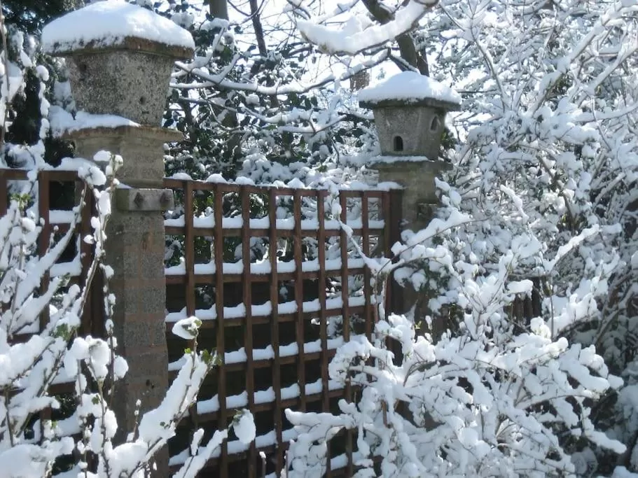 Winter in Comfortable rooms