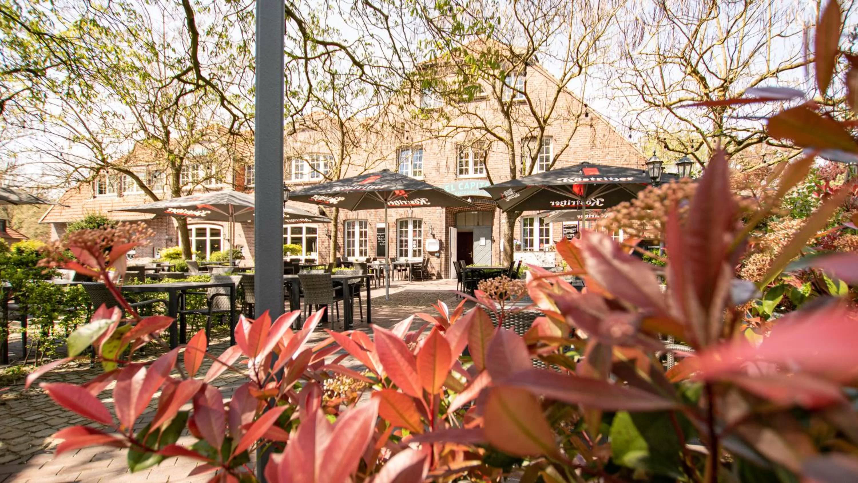 Garden in El Capitan nähe Movie Park