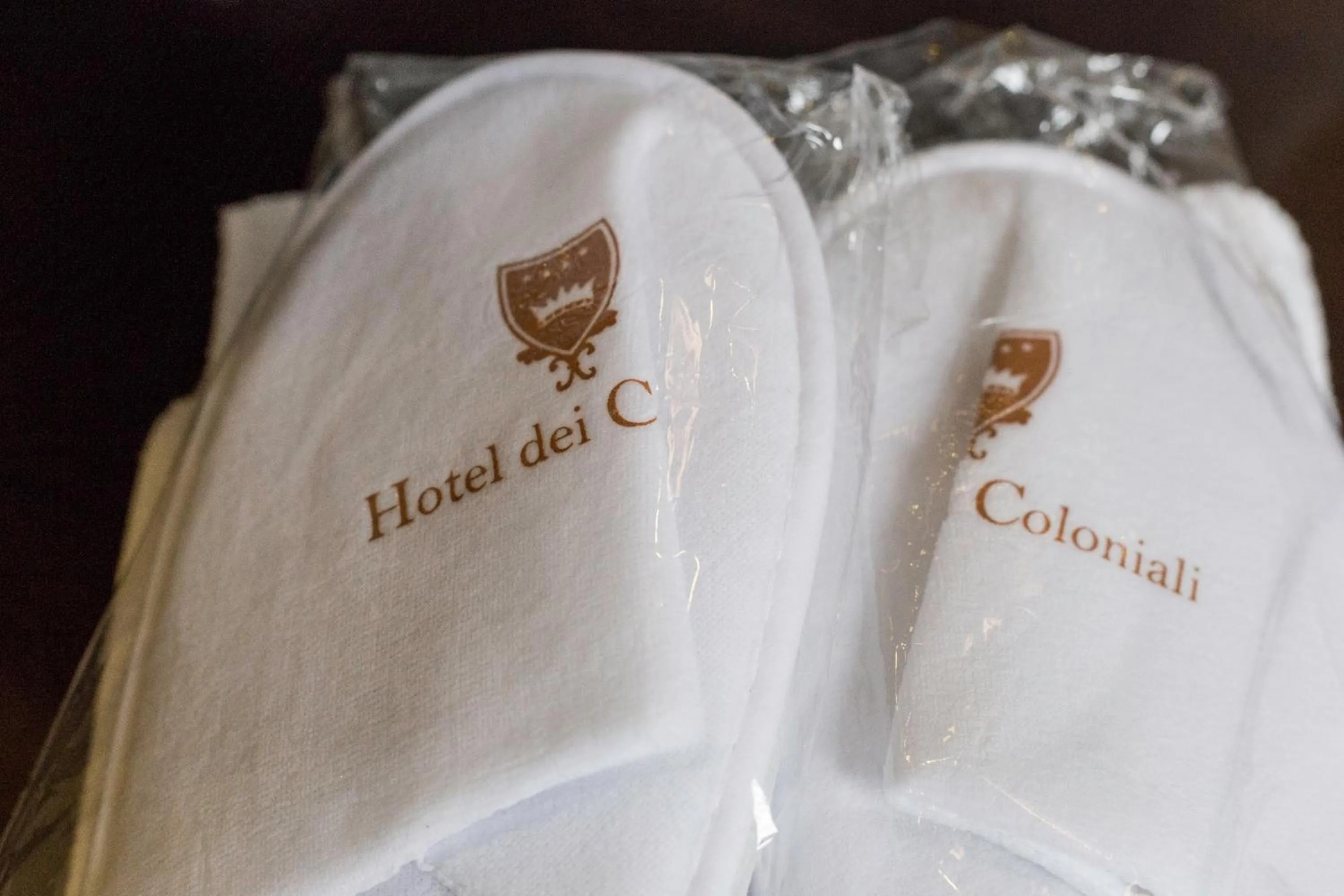 Decorative detail in Hotel dei Coloniali