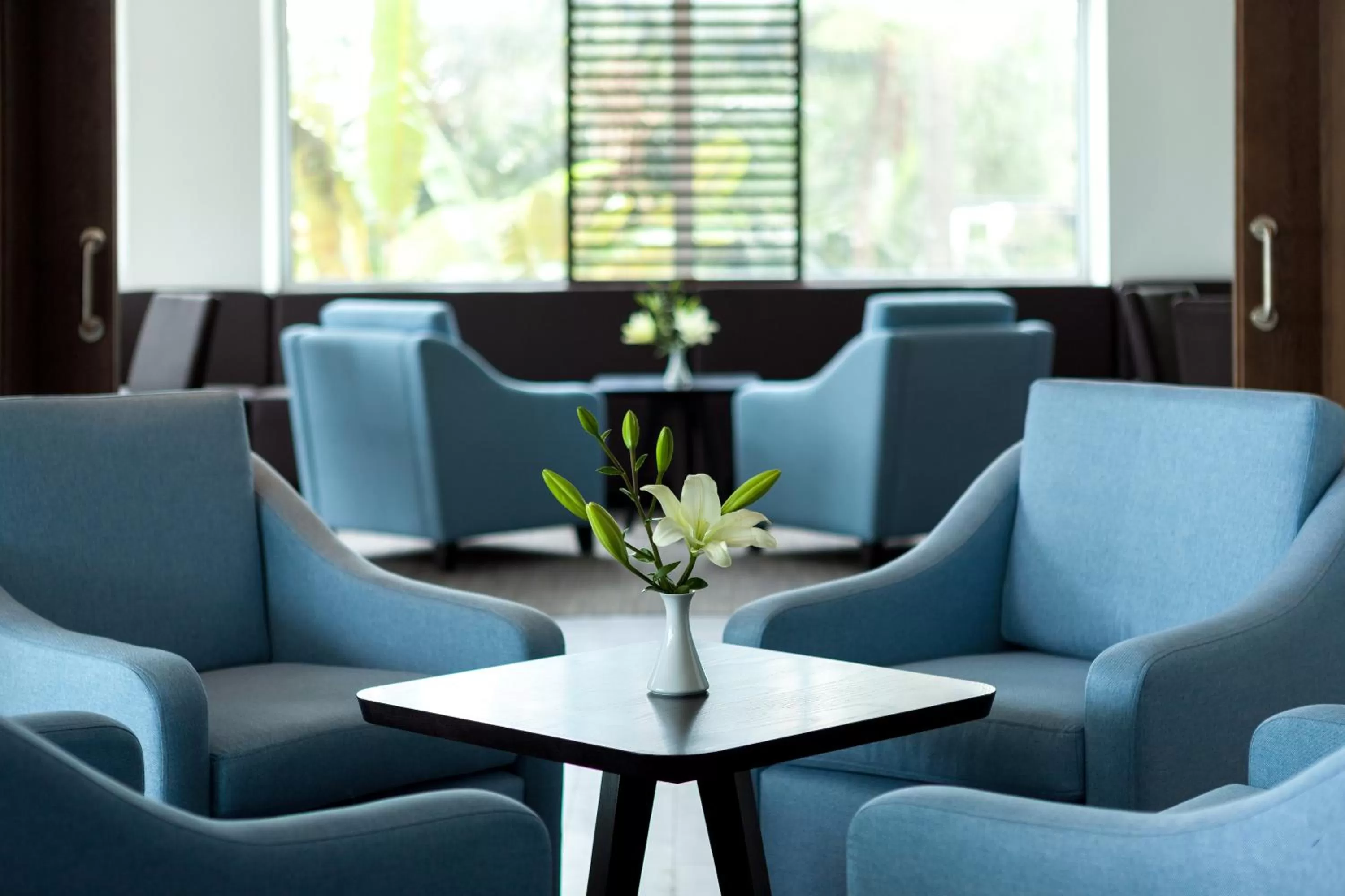 Lounge or bar in Hotel Tigaiga