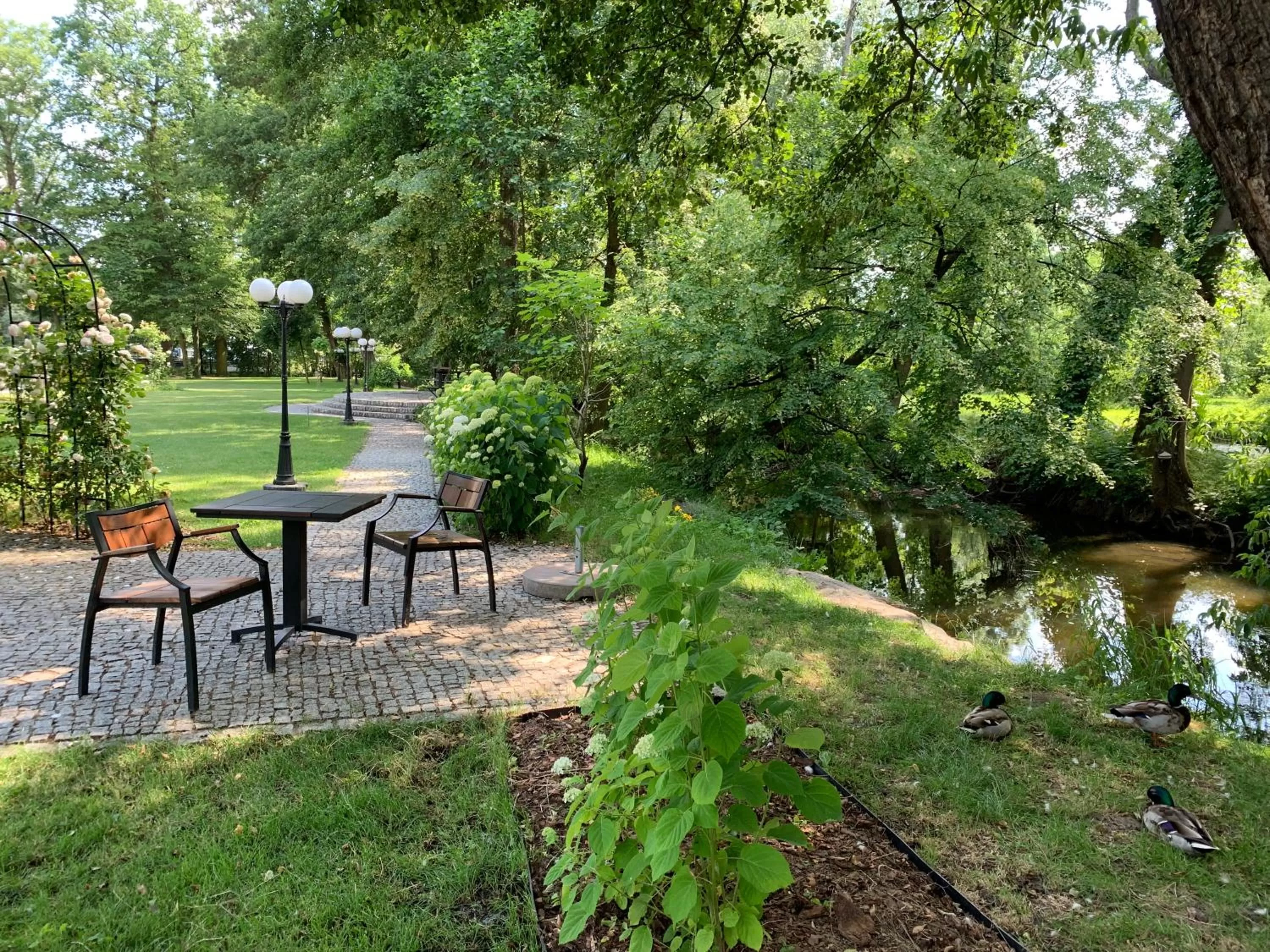 Garden in Hotel Willa Starosty