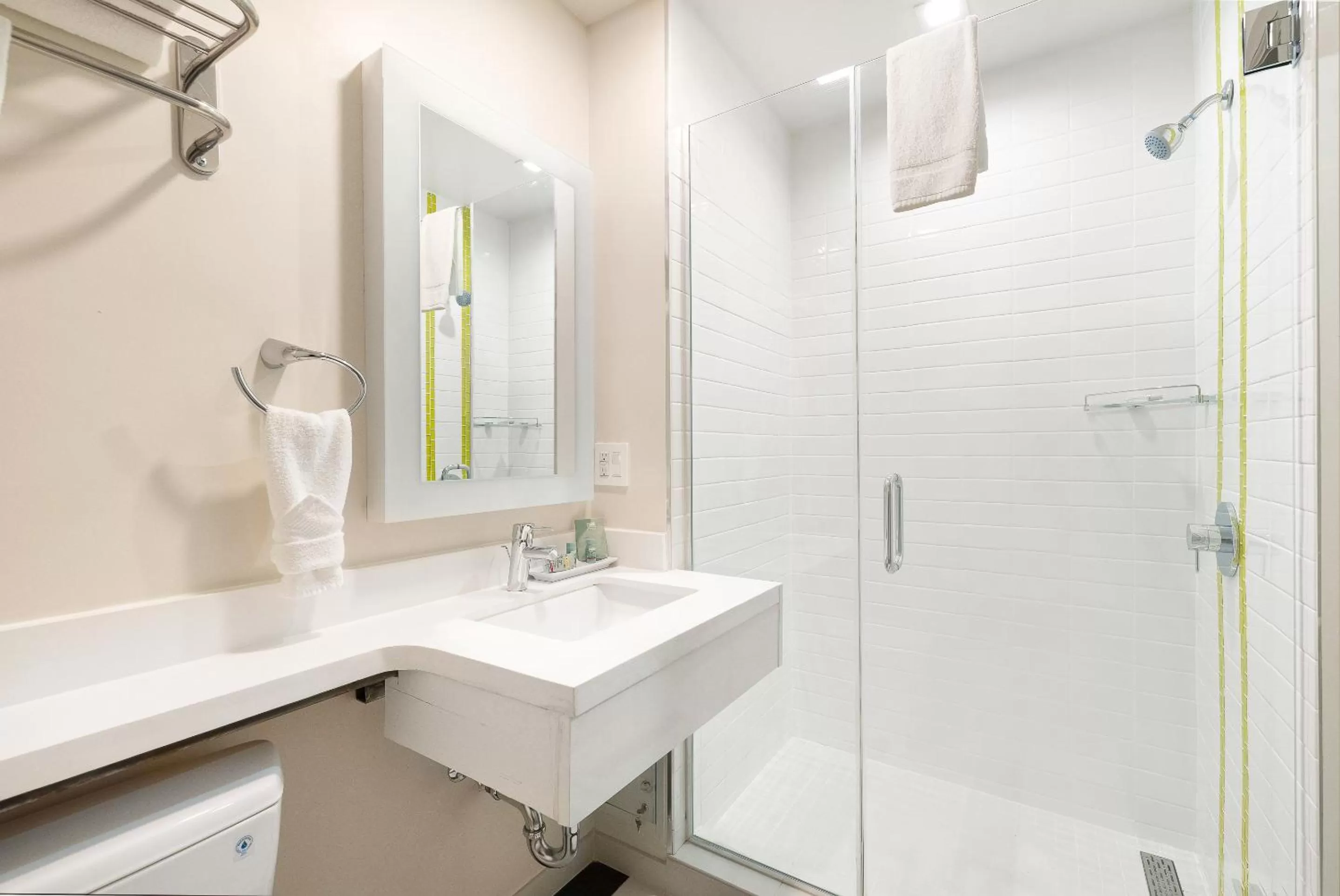 Shower in Best Western Red Coach Inn