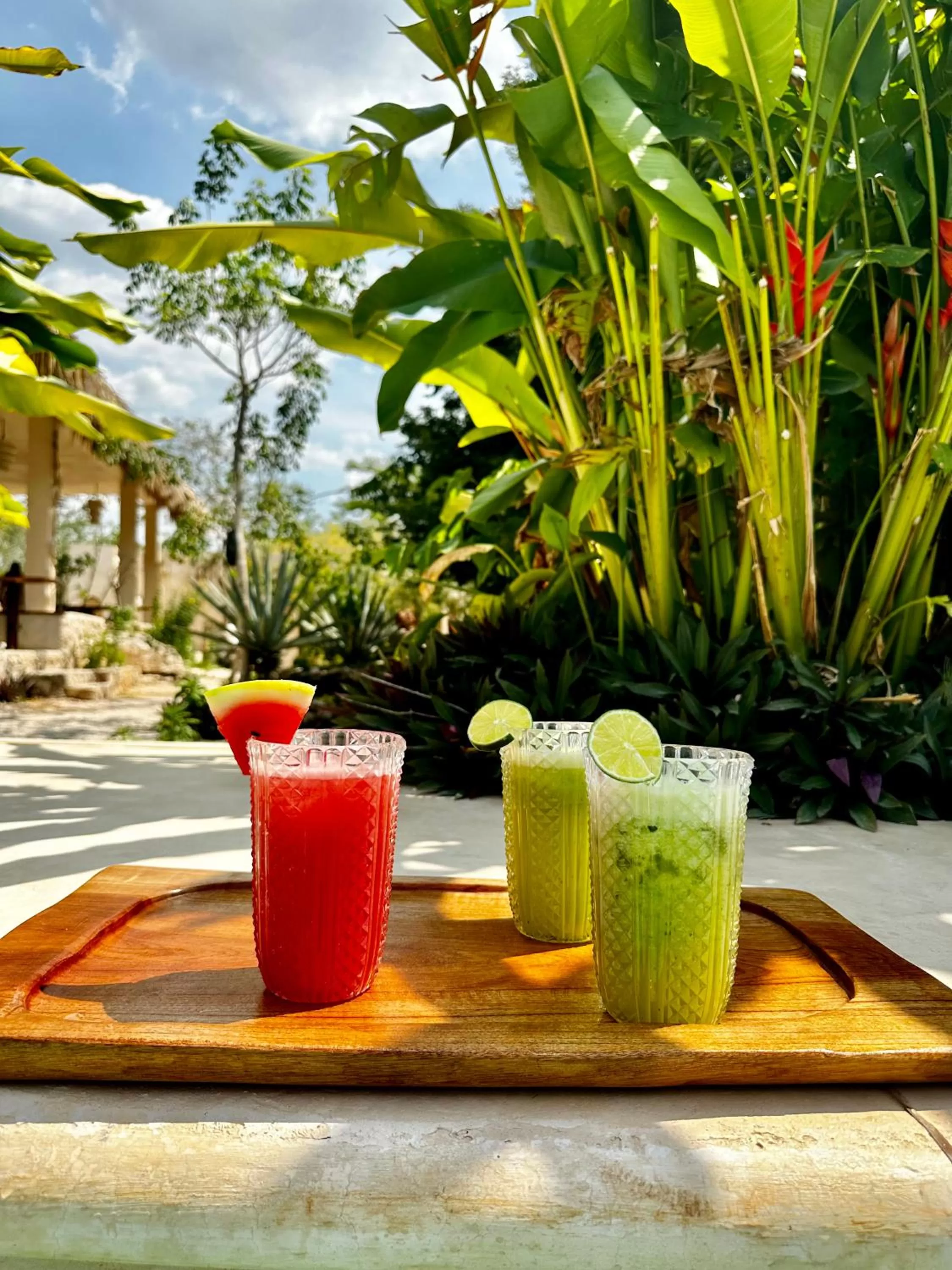 Garden, Drinks in RESET ATEMPORAL