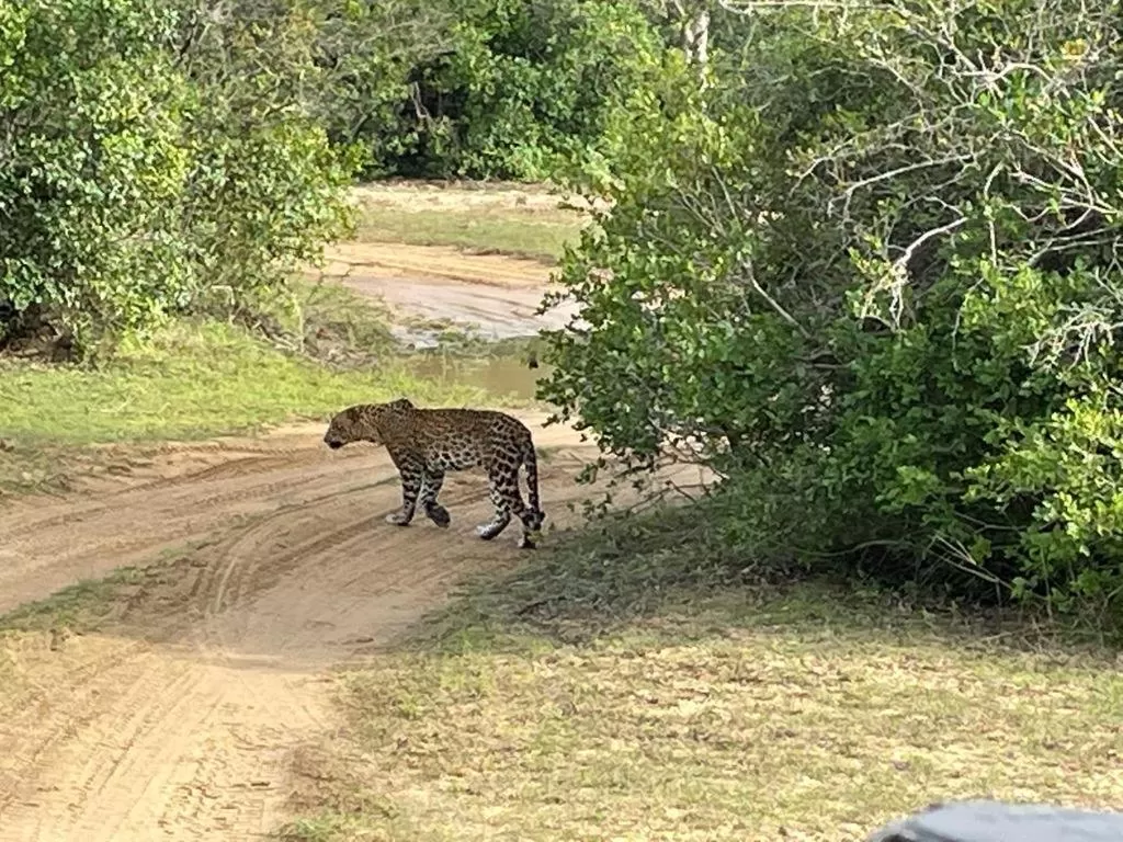 Jayasinghe Holiday Resort