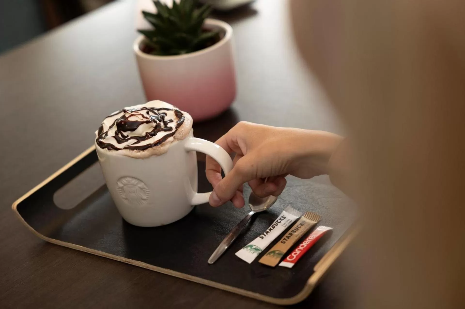 Restaurant/places to eat in Leopold Hotel Oudenaarde