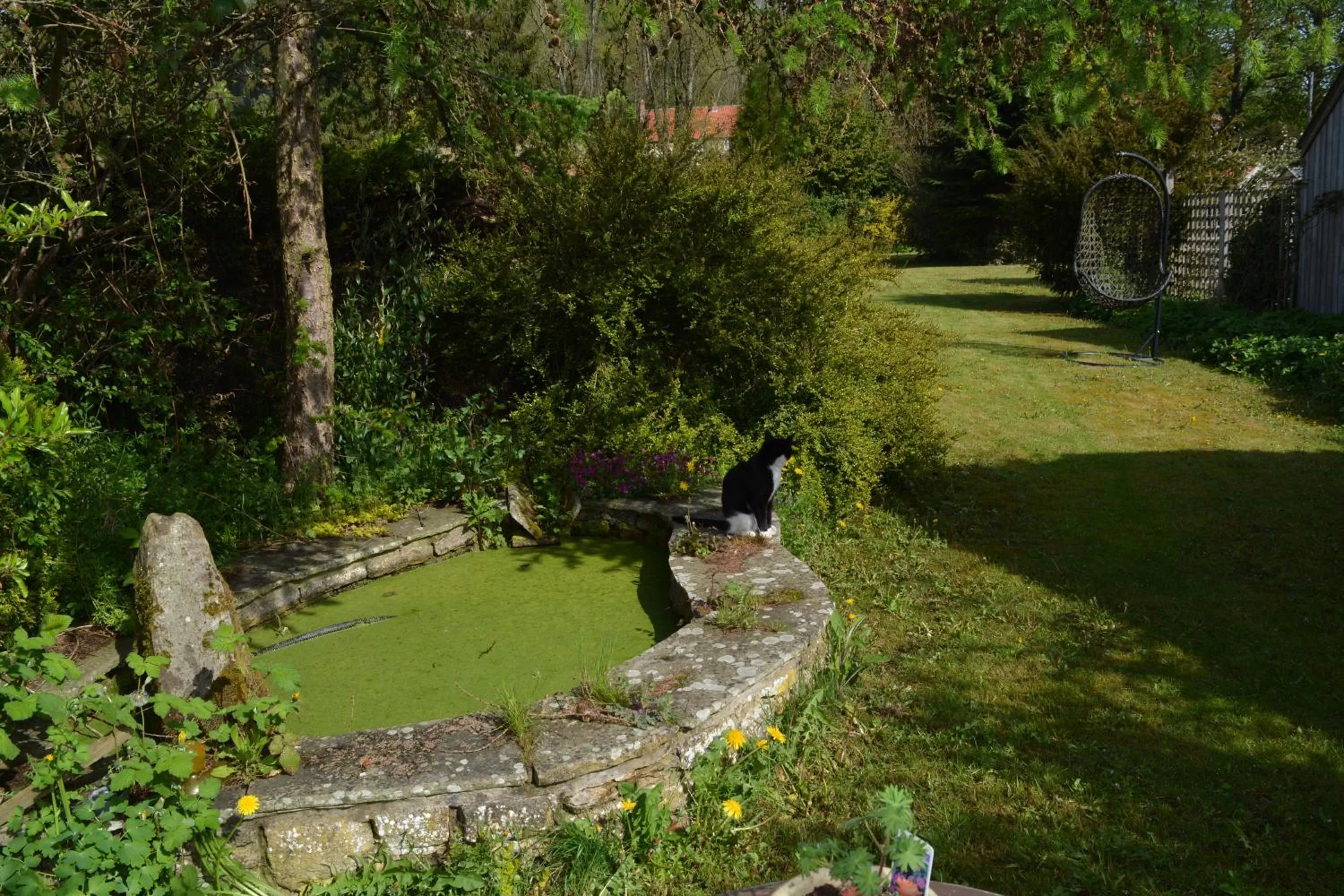 Garden in BohemianBreezeBreaks