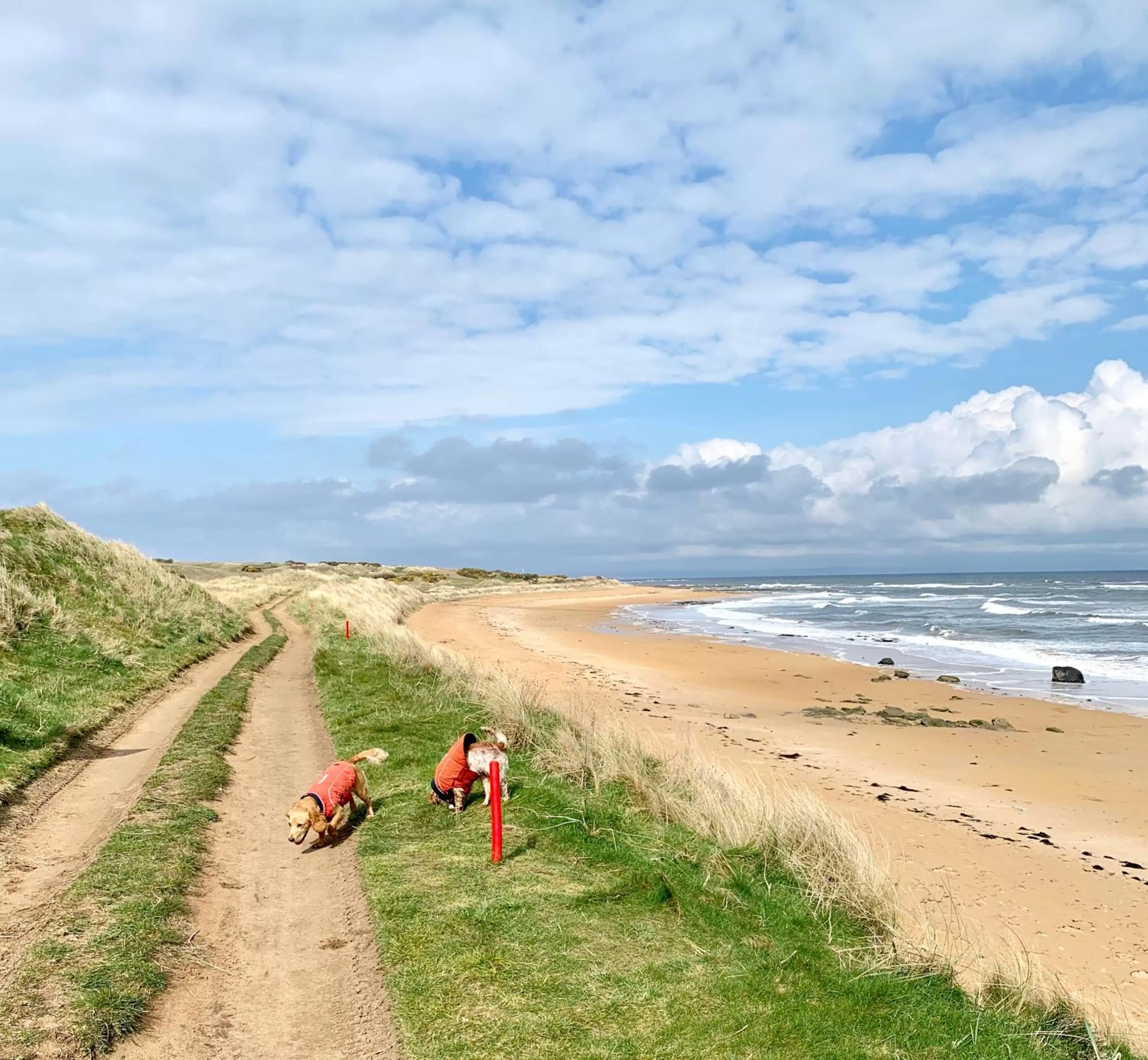 Beach in No12 Bed and Breakfast, St Andrews