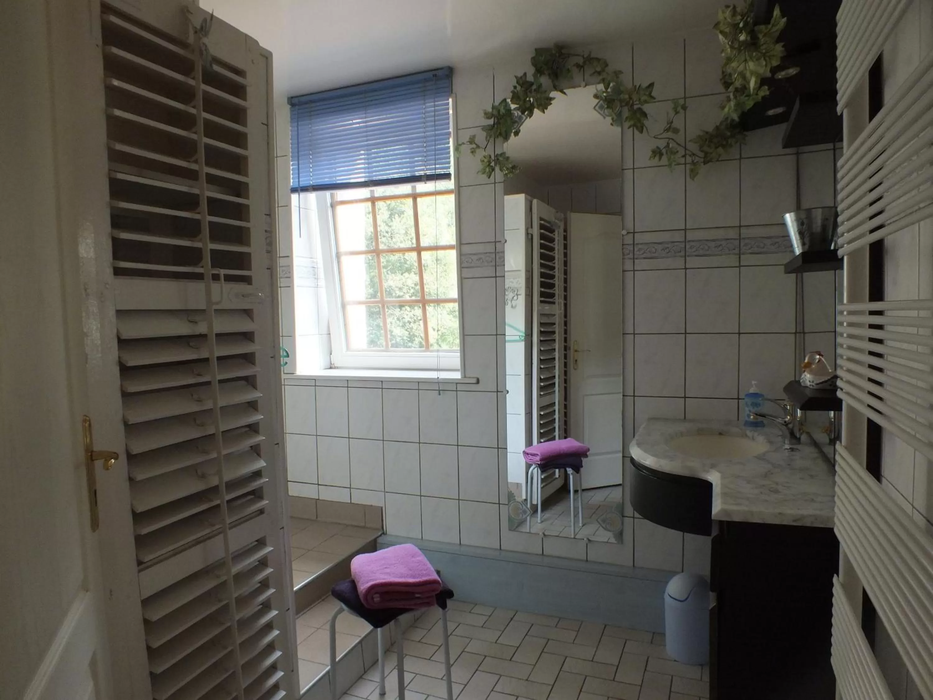 Shower in Chambres d'hôtes La Charmante