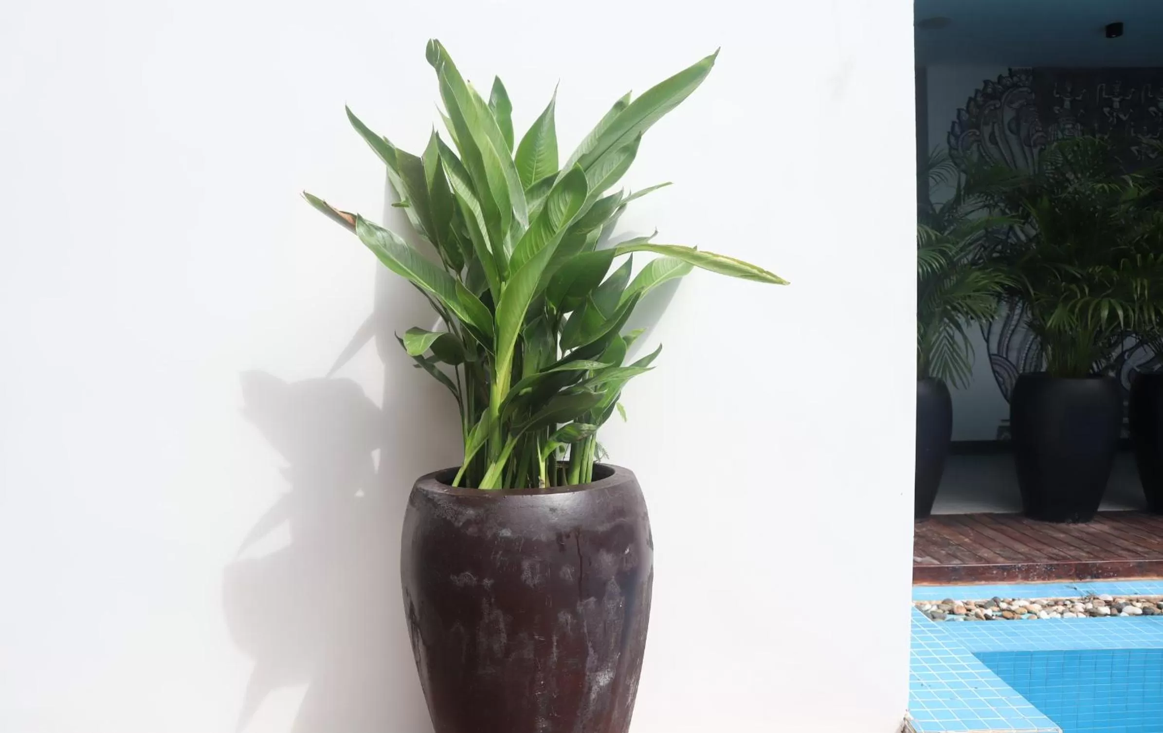 Garden view in Siem Reap Palace Hotel & Spa