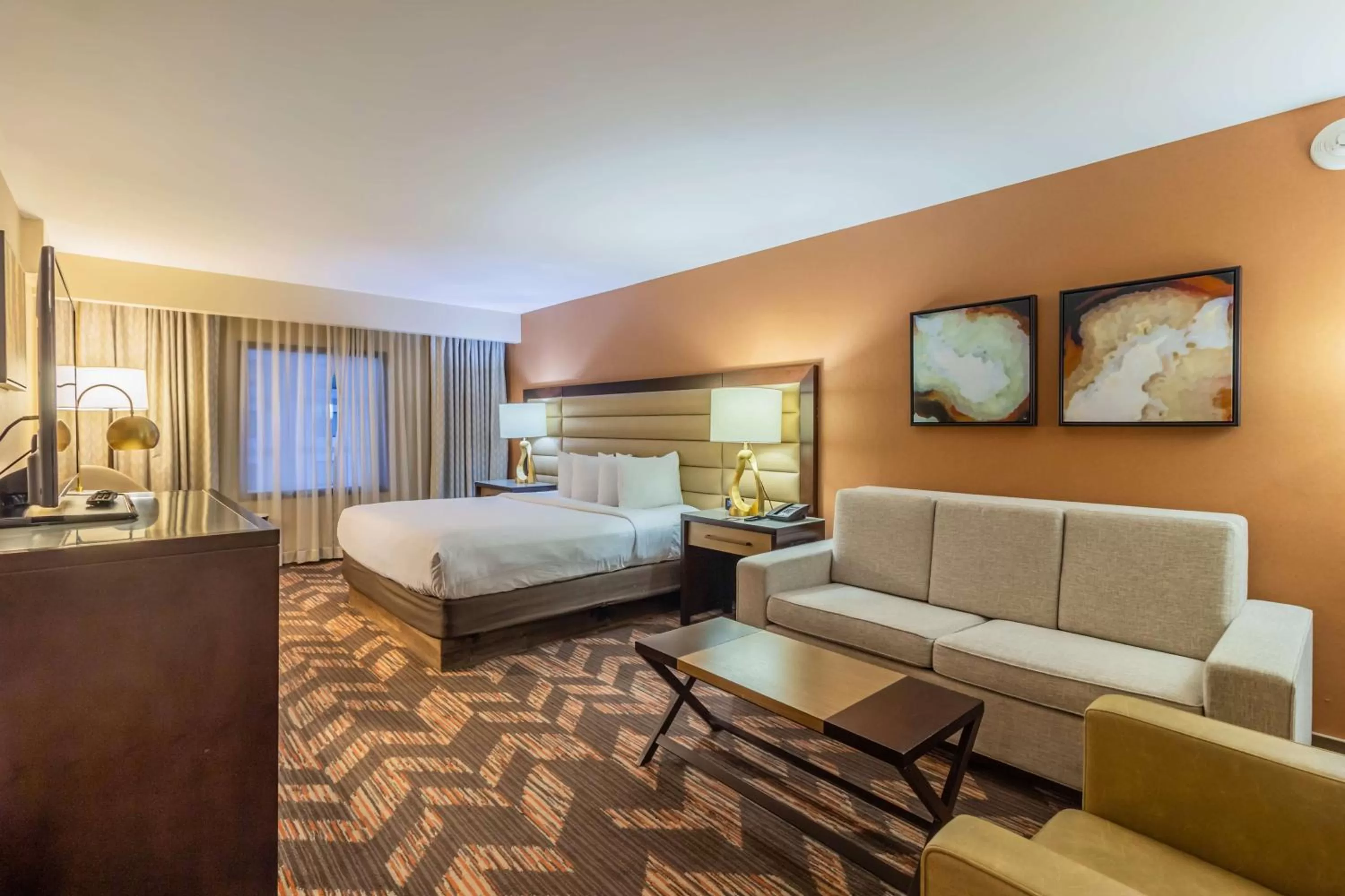 Living room, Bed in DoubleTree by Hilton Lawrence