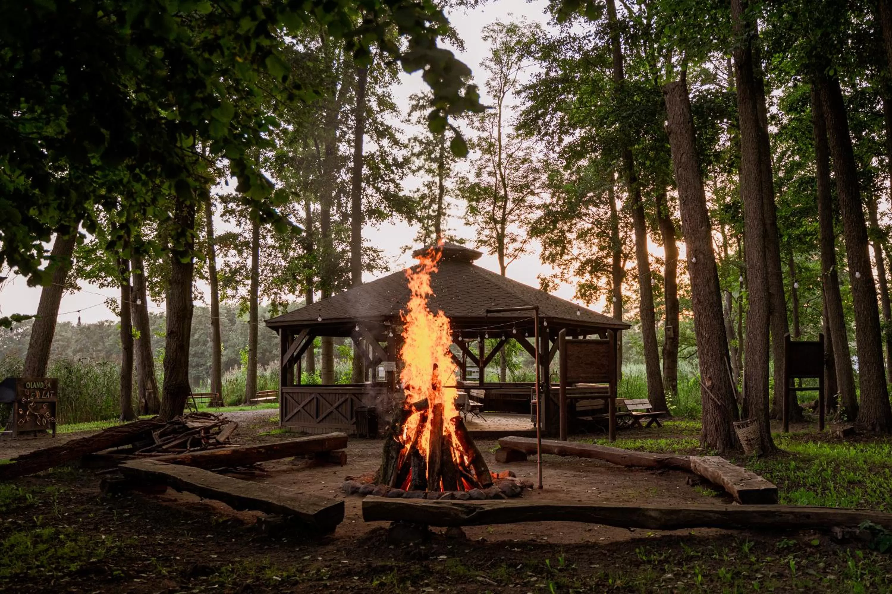 Evening entertainment in Olandia