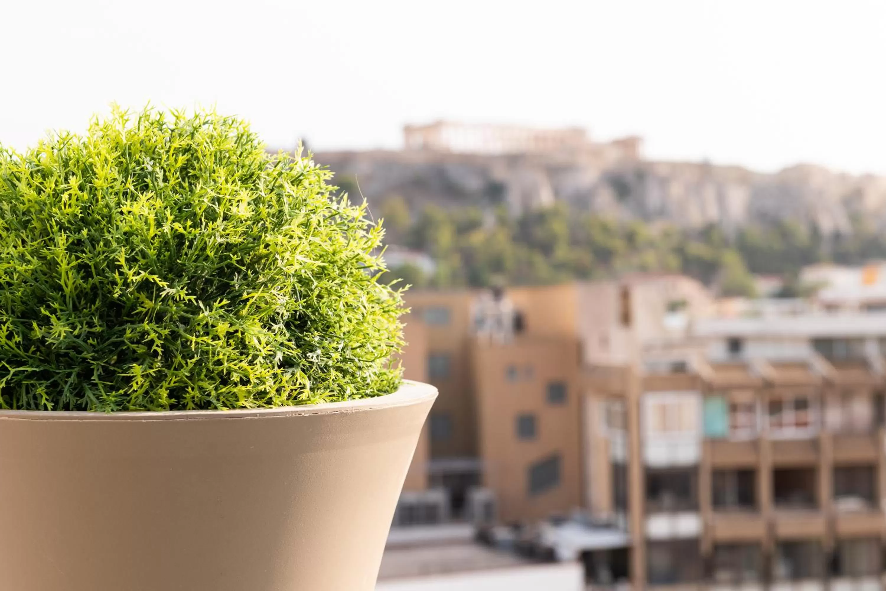 View (from property/room) in Enattica Suites