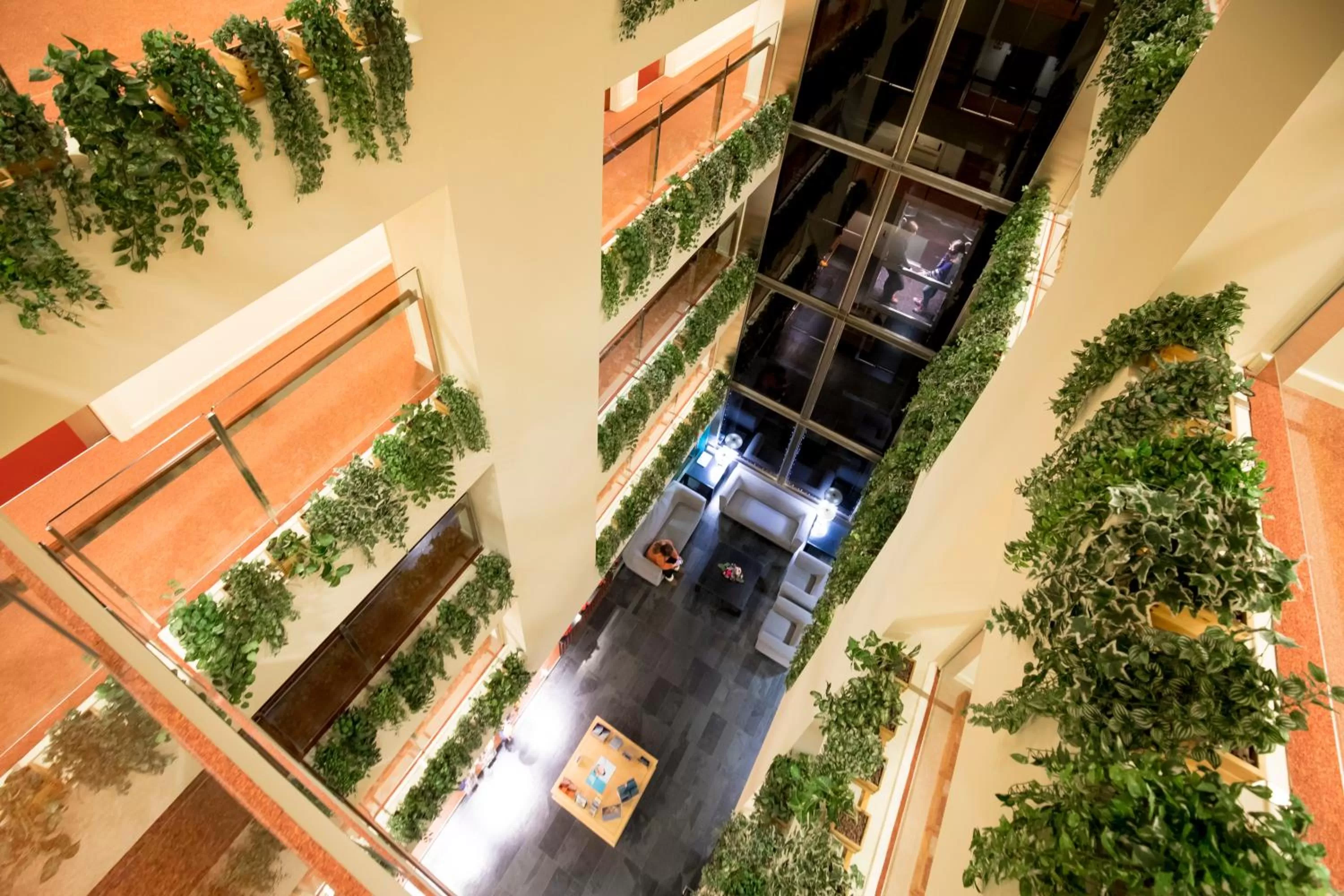 Bird's eye view in Font D'Argent Canillo