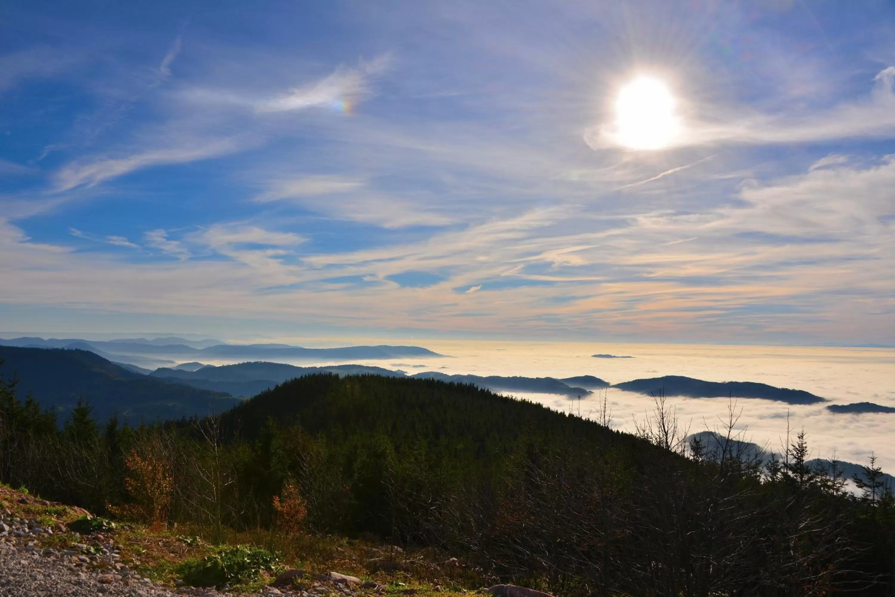 Natural landscape in RelaxHotel Tannenhof