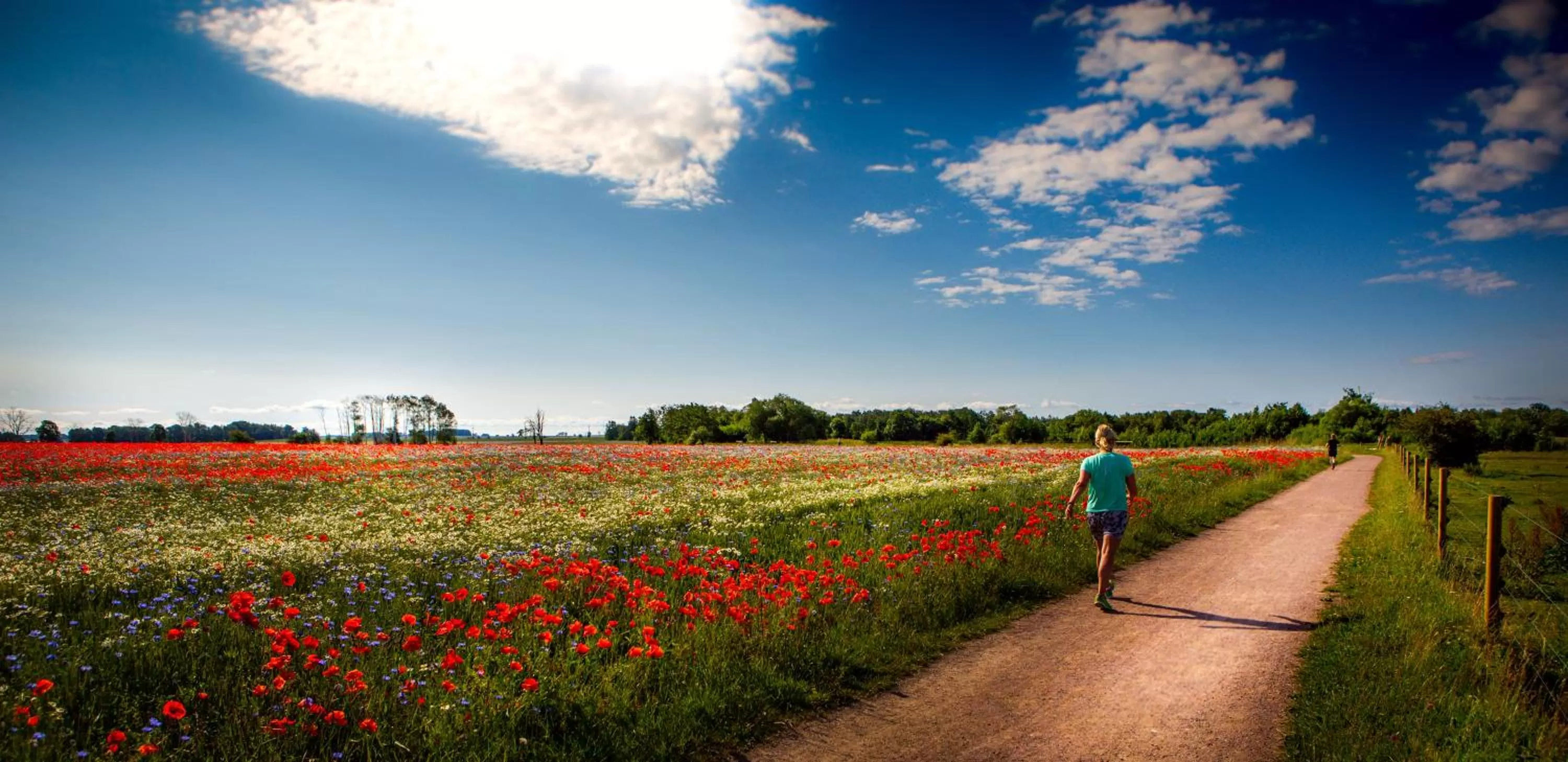 Summer in Vadstena Klosterhotell Konferens & Spa