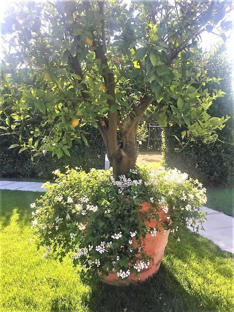 Garden in La Pergola B&B