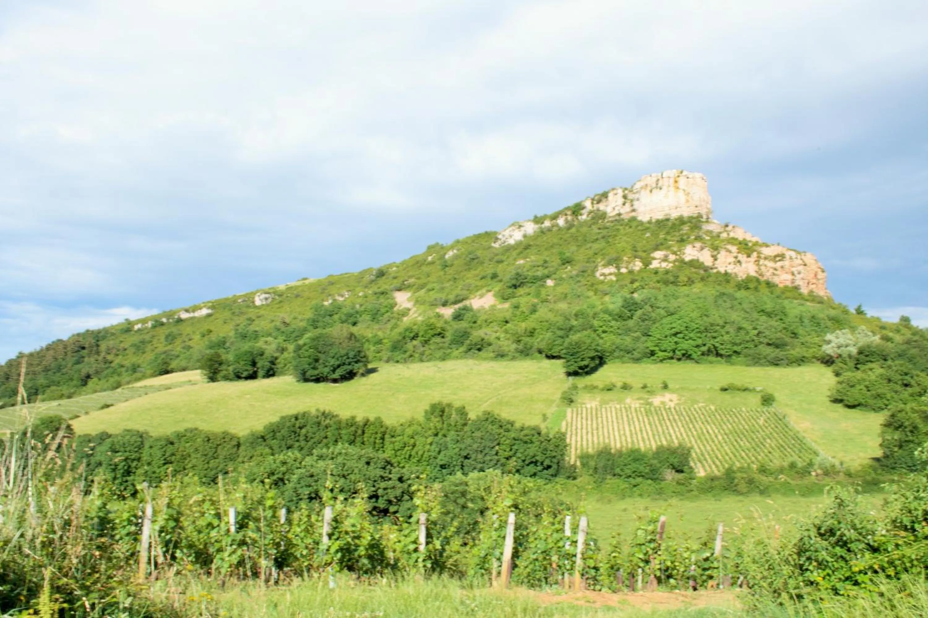 Natural landscape in Première Classe Mâcon Sud