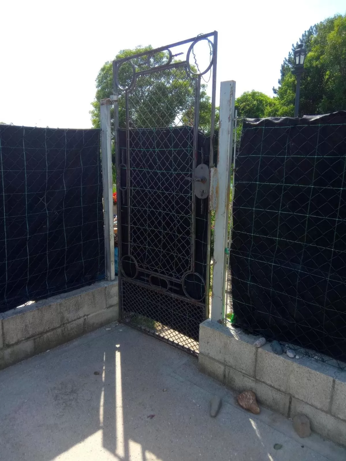 Garden in Villa Fiorita