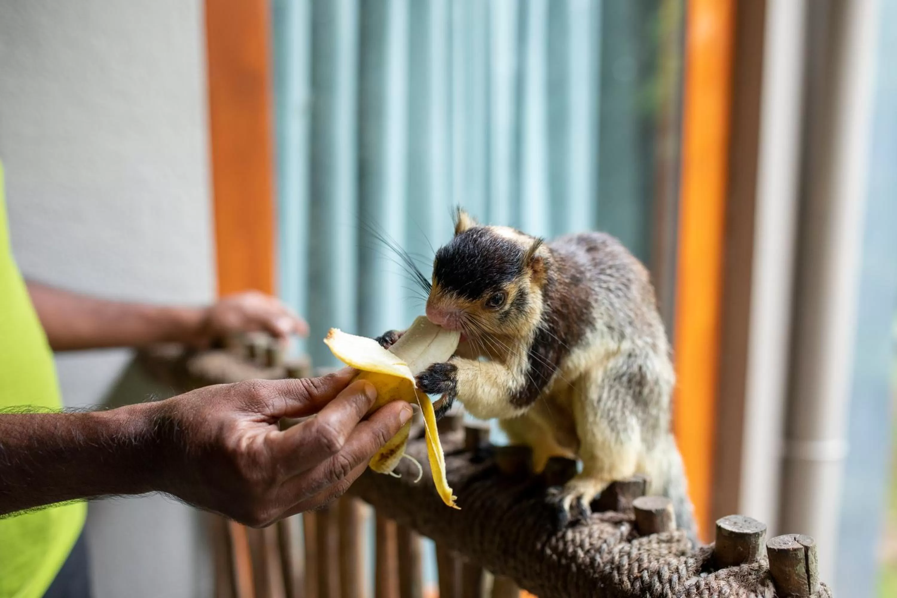 Property building in Birds Park Polgahawela